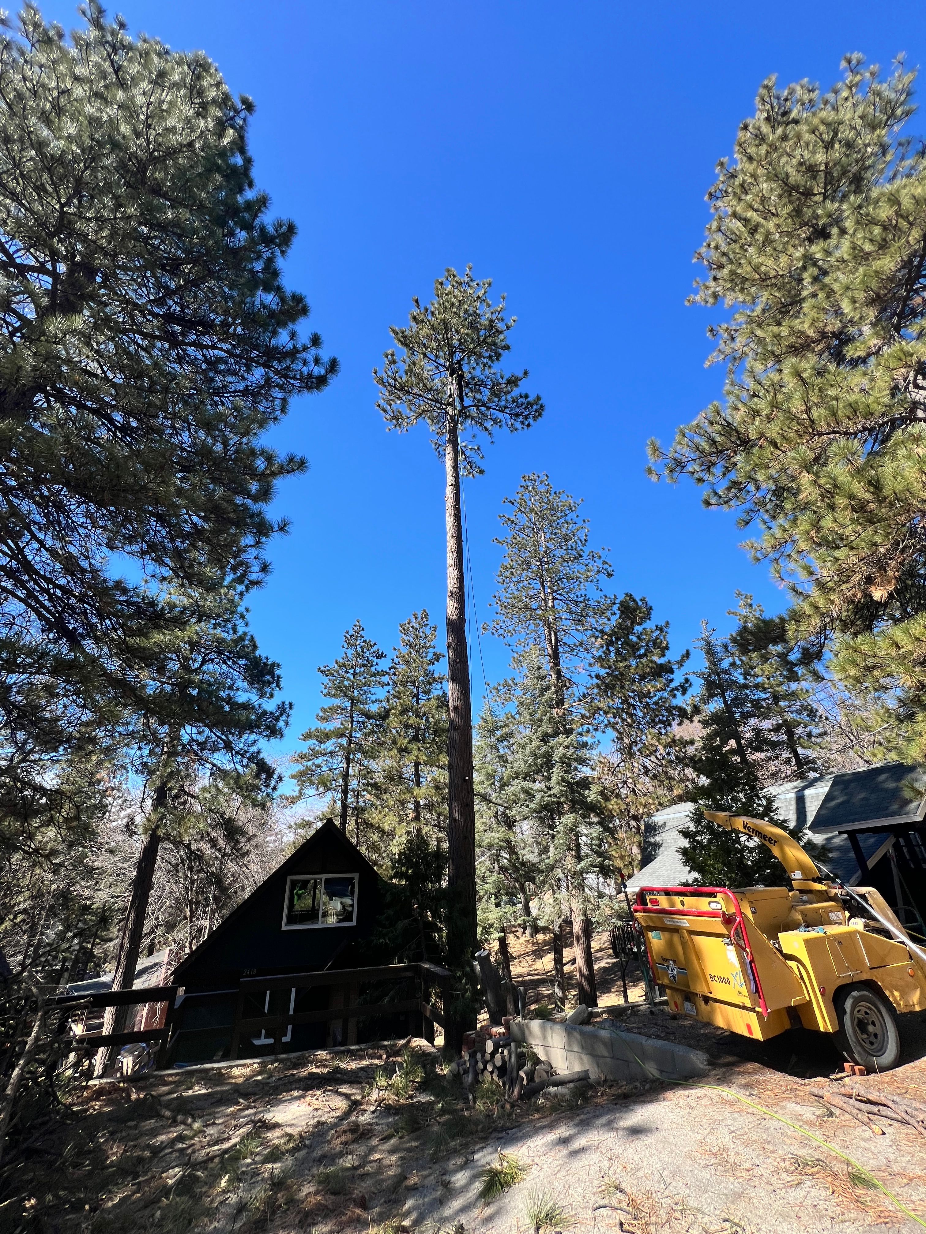  for Poseidon Valley Tree Service Corp in San Bernardino, CA