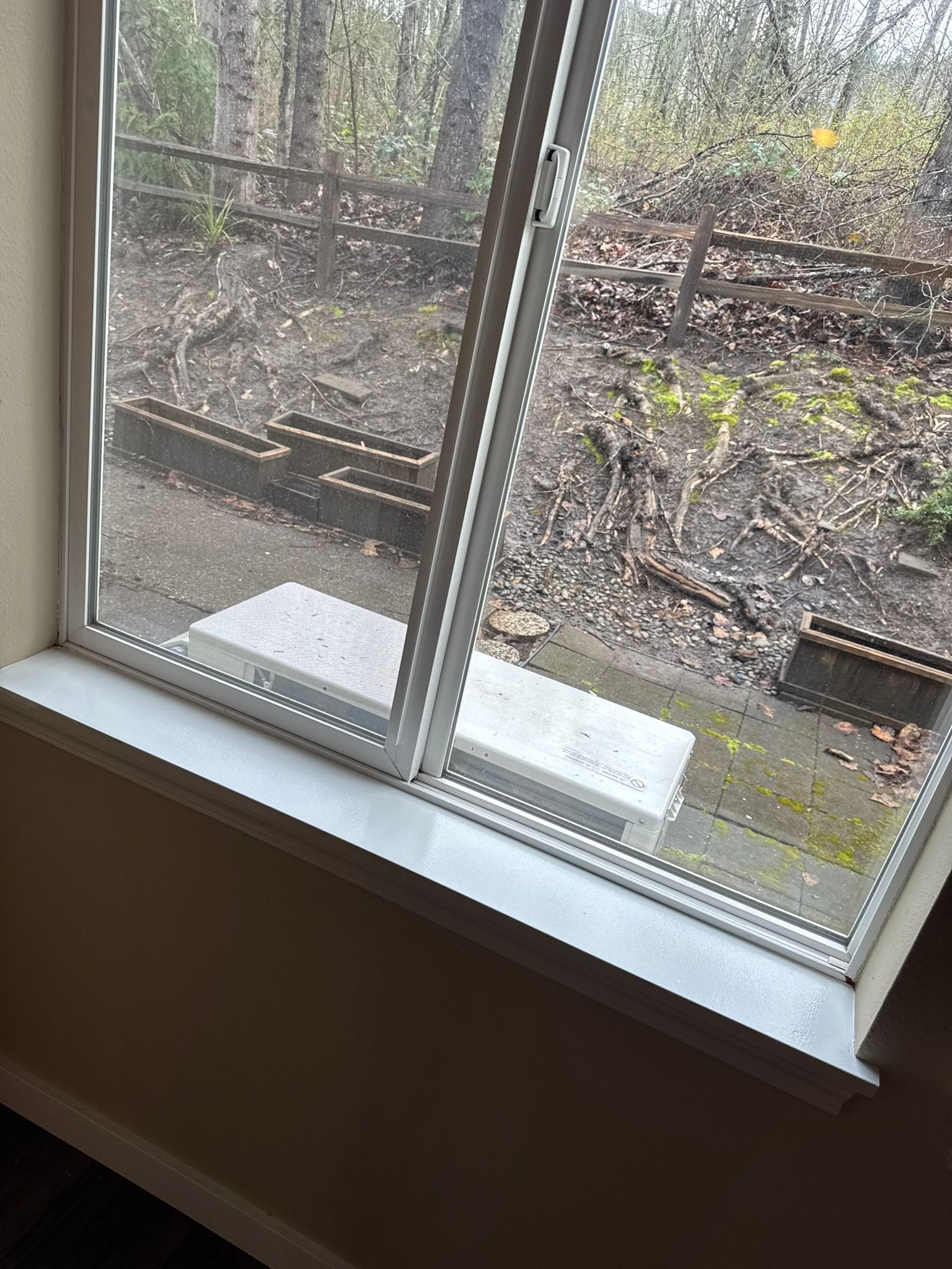  for Tony's Remodeling & Painting in Renton, WA