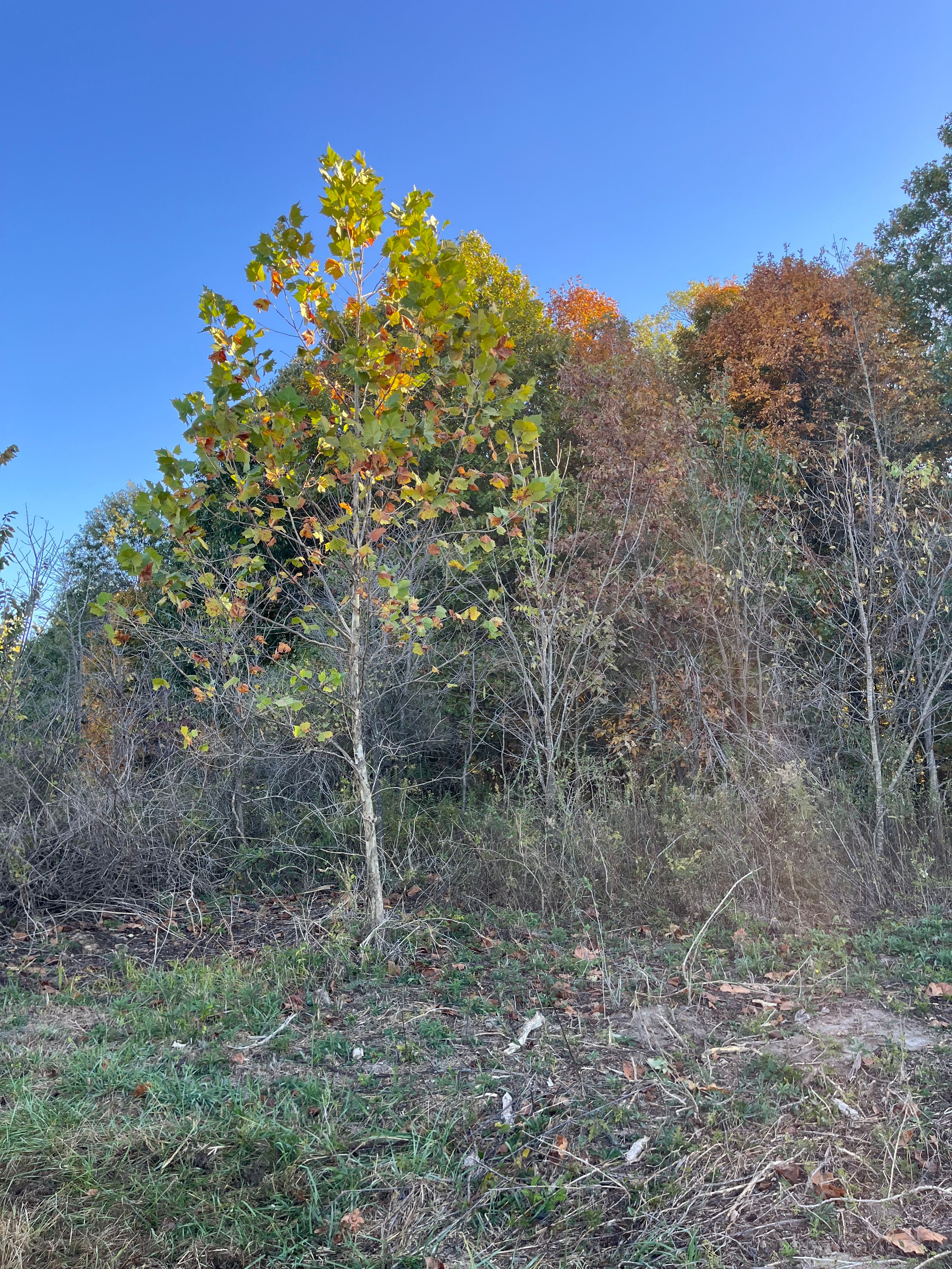  for KG Ground Development and Transportation in Newton, IL