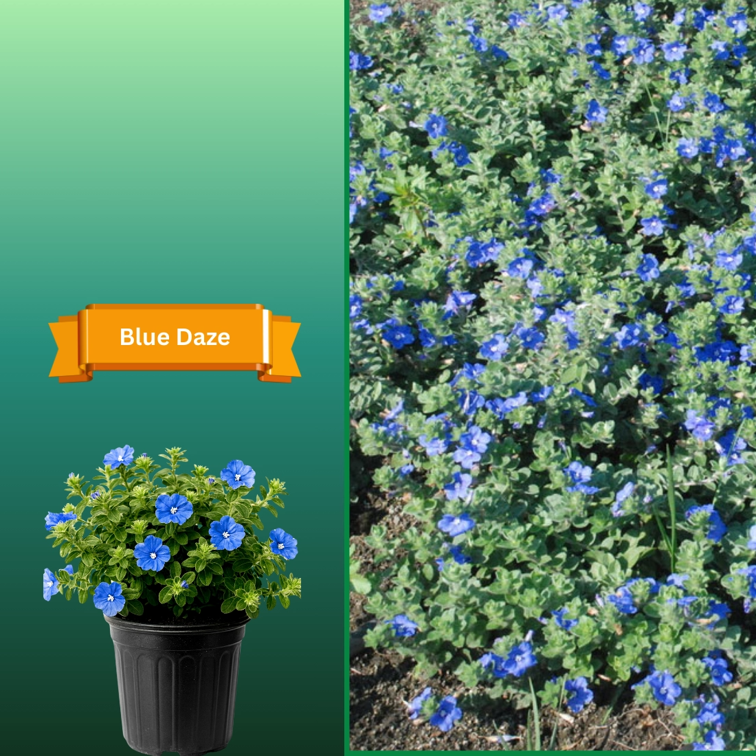  for R.B. & Company in Belleview, FL