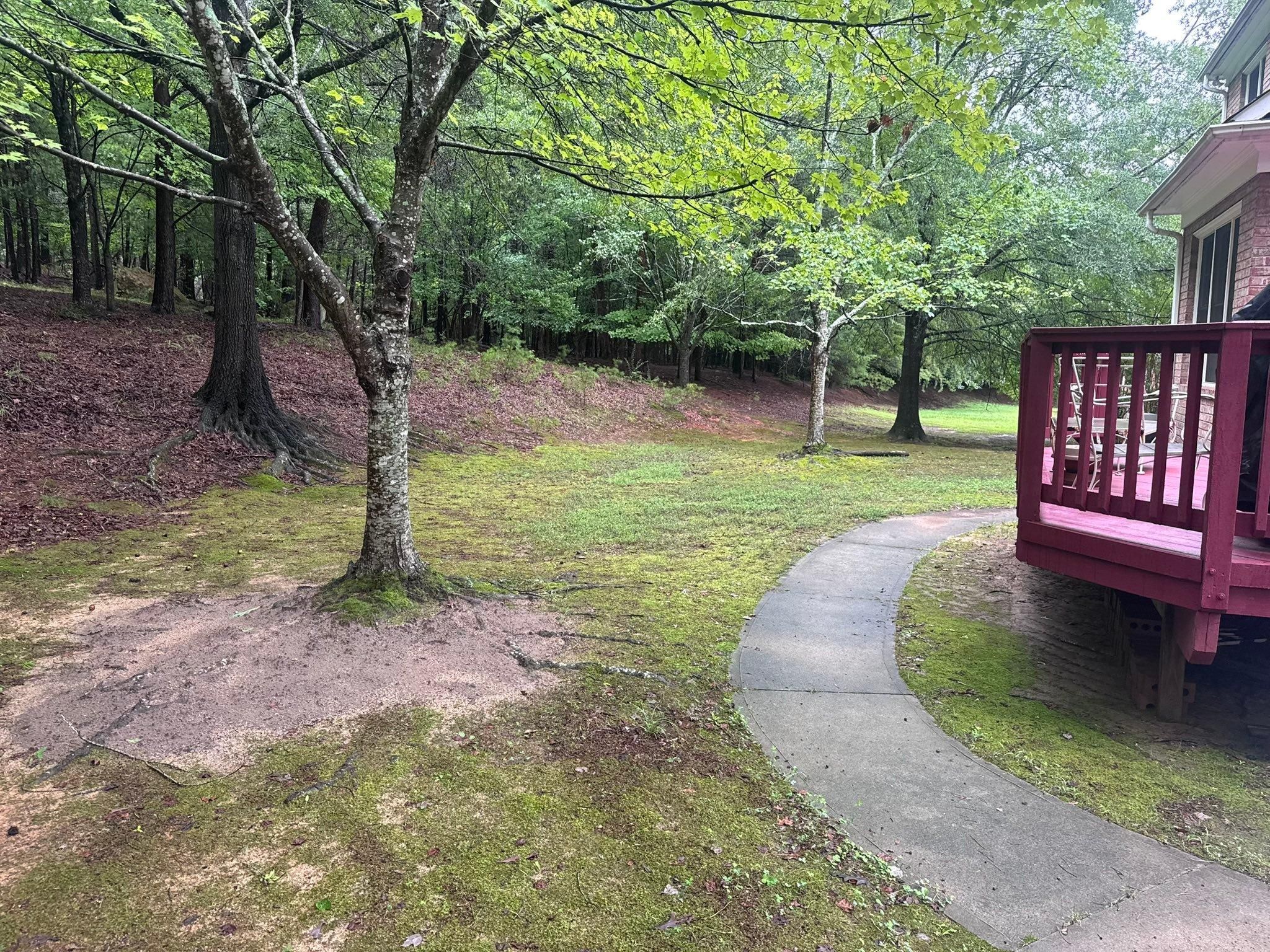  for Diversified Tree Company in Trinity, NC