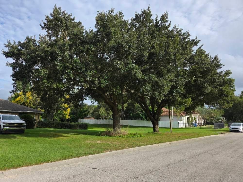  for Bay Area Bobcat in Riverview, FL