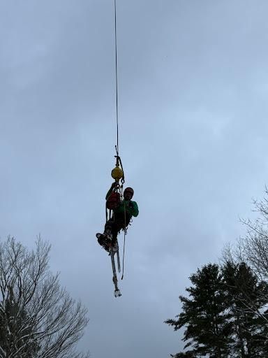  for Clifford’s Quality Tree Care & Landscaping in Enfield, NH