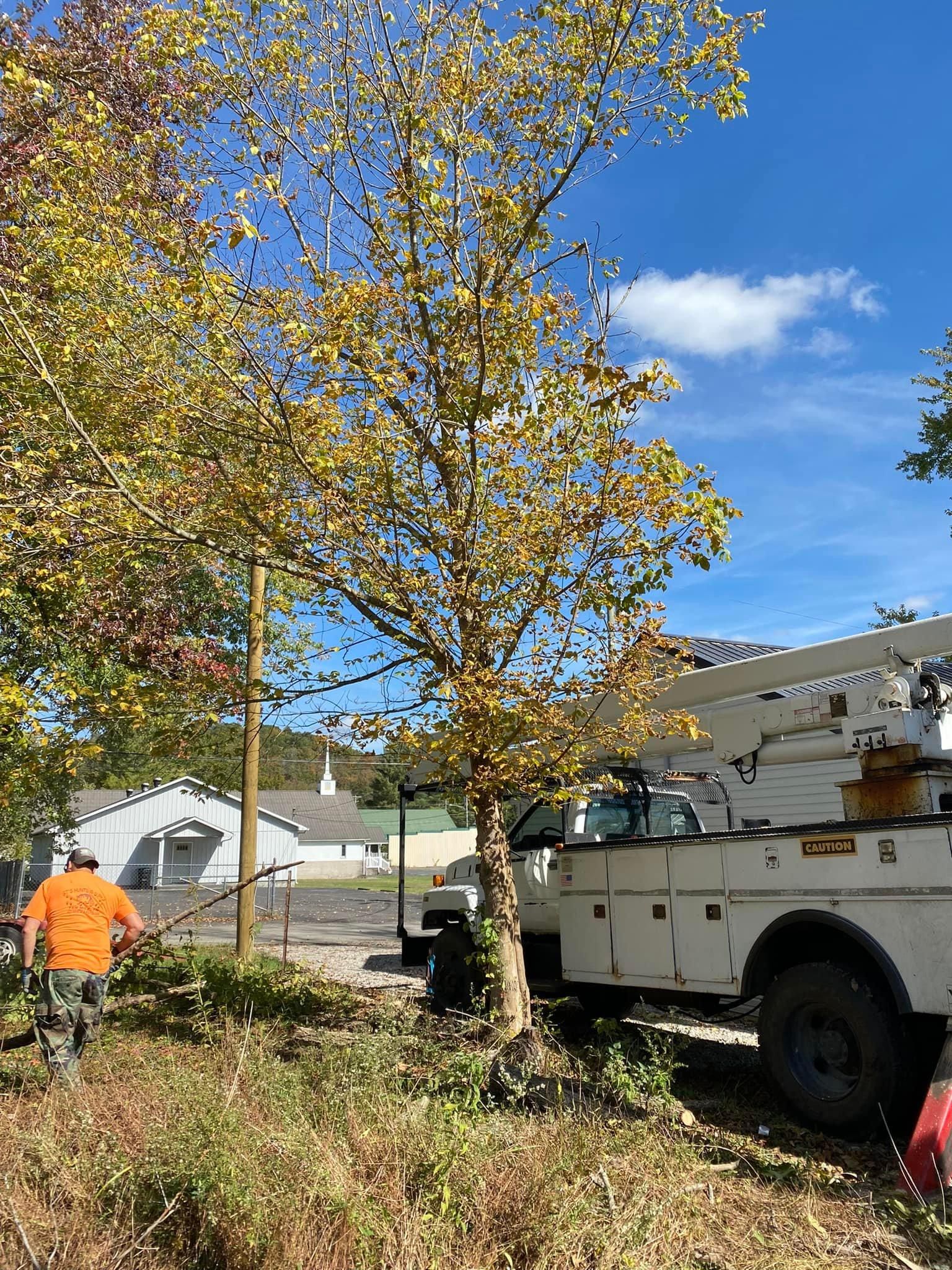 Fall and Spring Clean Up for Atwood’s Tree Care in Liberty,  KY