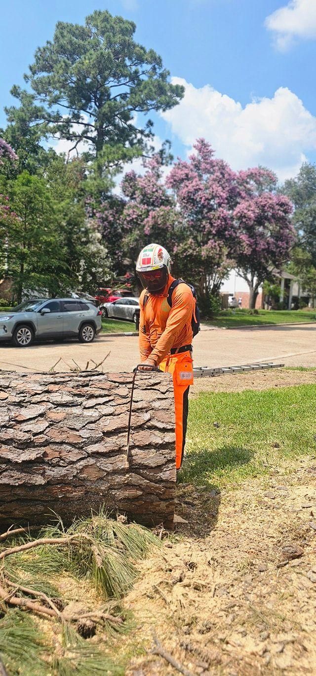  for Servin's Tree Care  in Houston, TX