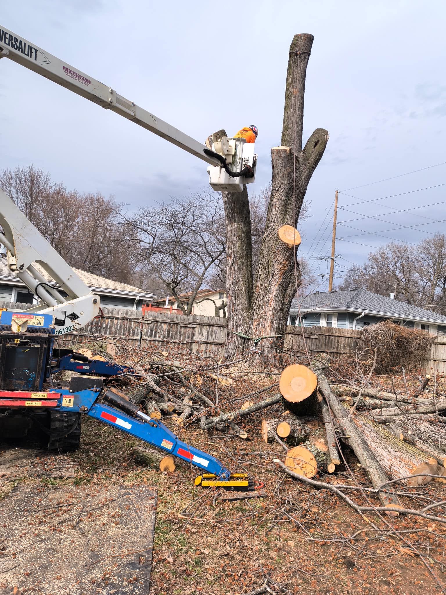 Tree Removal for Cross Family Tree Service in Kearney, MO