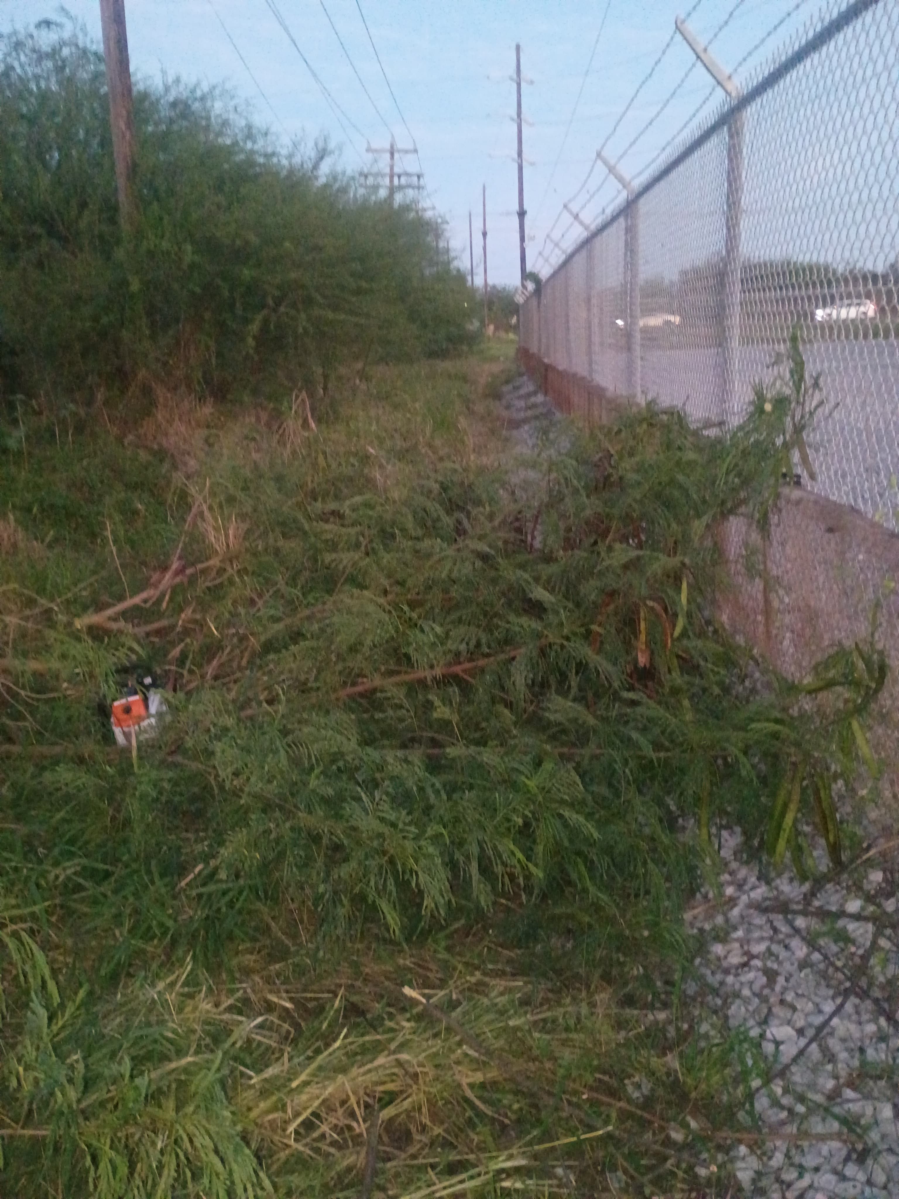  for Pro Lawn Care RGV in McAllen, TX