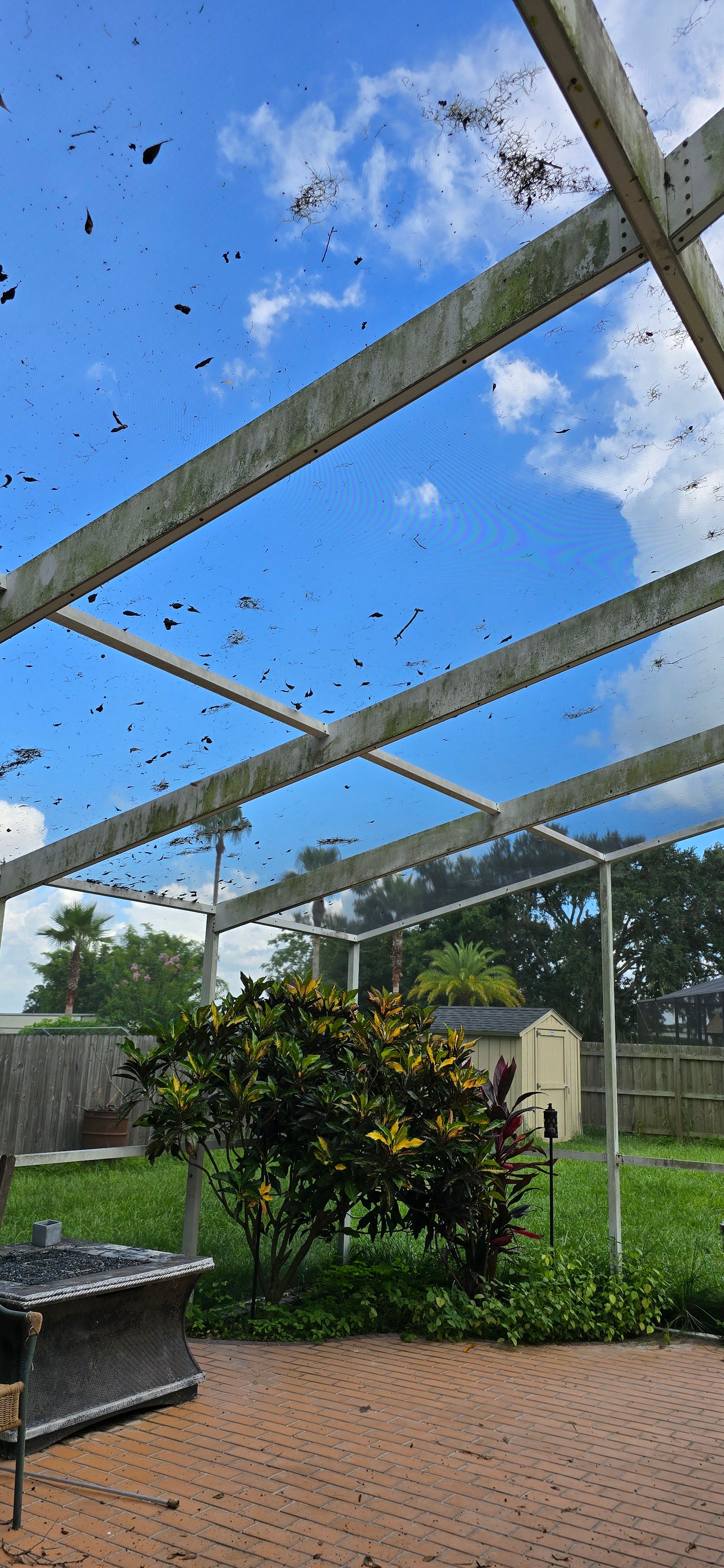  for Blue Stream Roof Cleaning & Pressure Washing in Tampa, FL