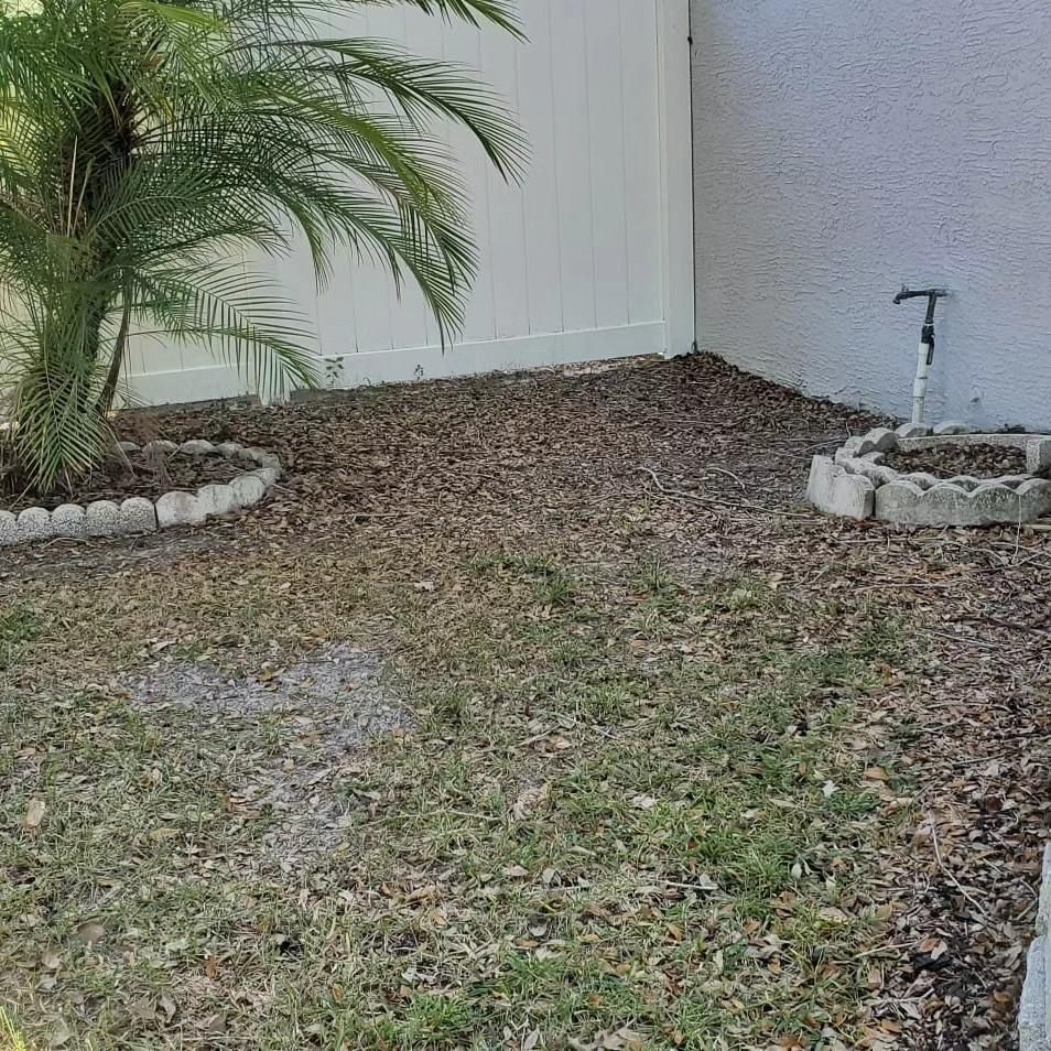  for 1 Friendly Lawn Service in Tampa, FL