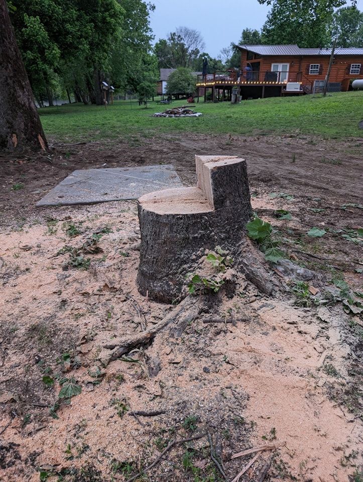  for Wade's Family Tree Service in Townsend, TN