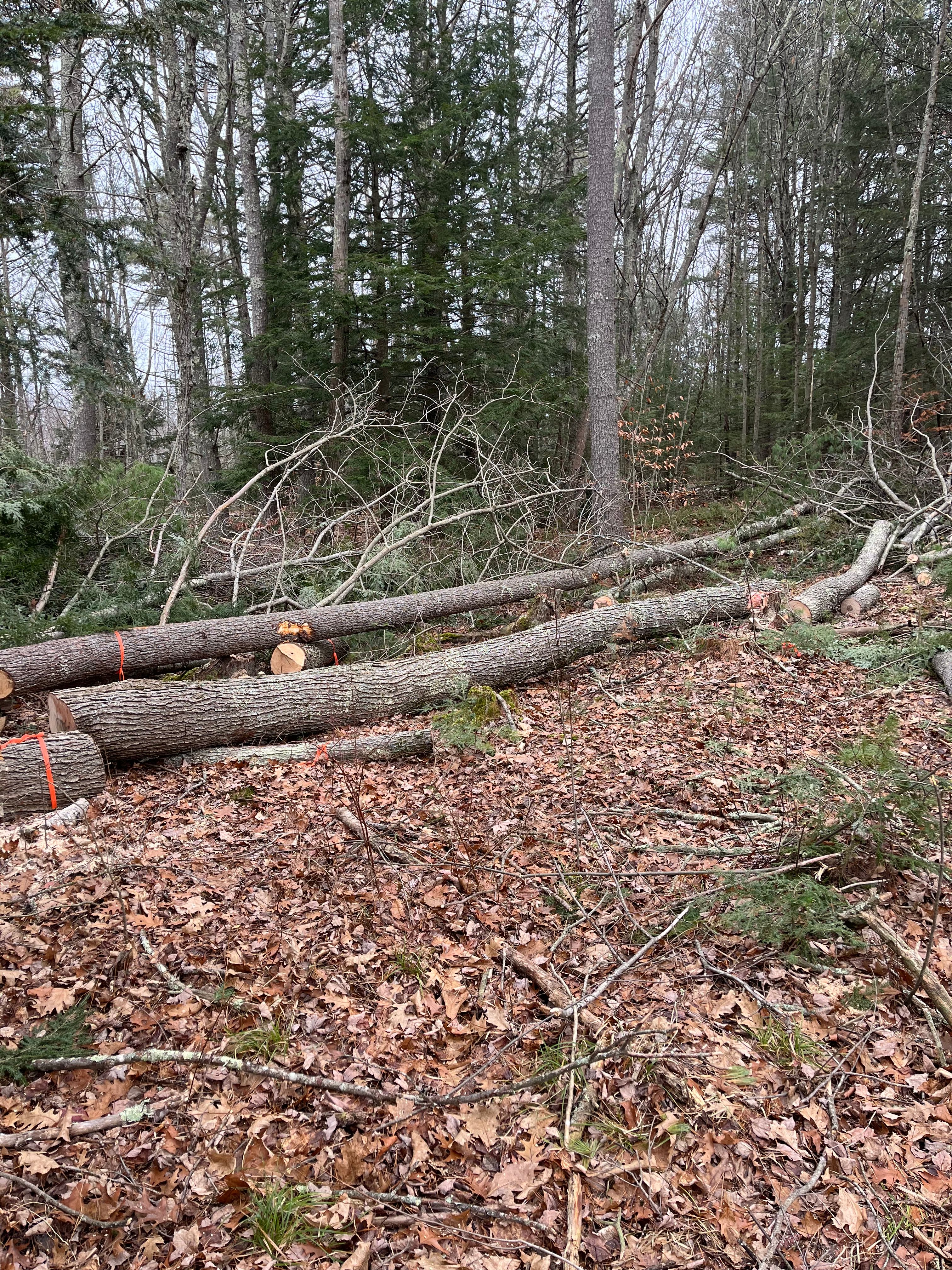 All Photos for Next Level Construction and Cleaning in Saco, ME