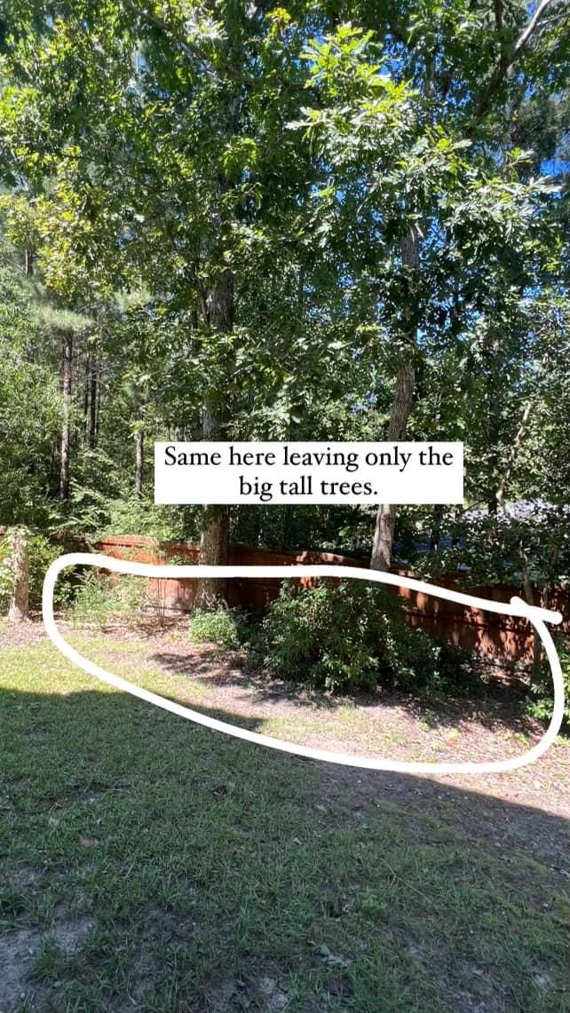 for Shang's Landscaping Service in Columbia, South Carolina