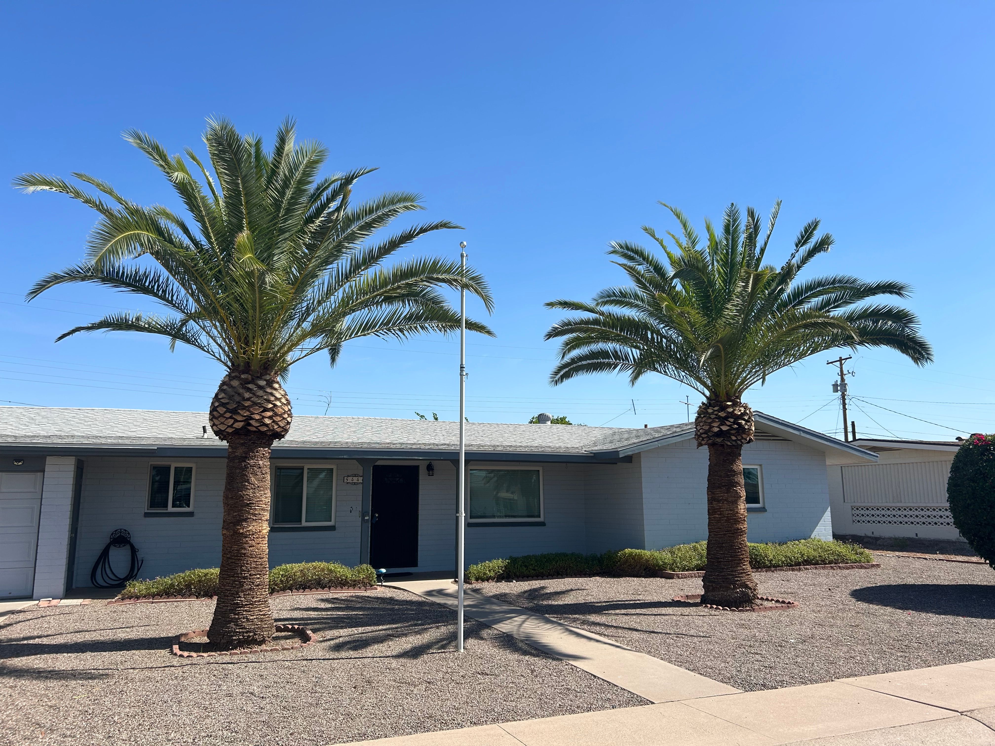  for Copperhead Solution in Phoenix, Arizona