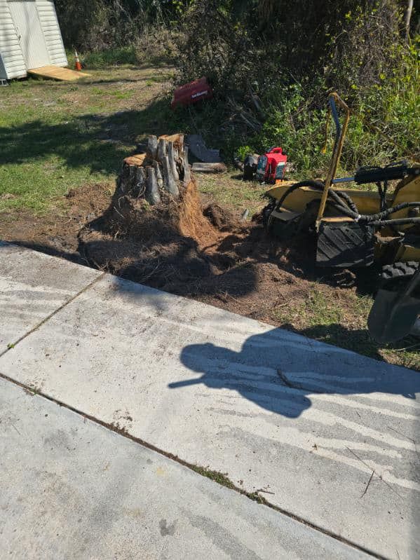  for Nick of Time Tree Service in North Port, FL