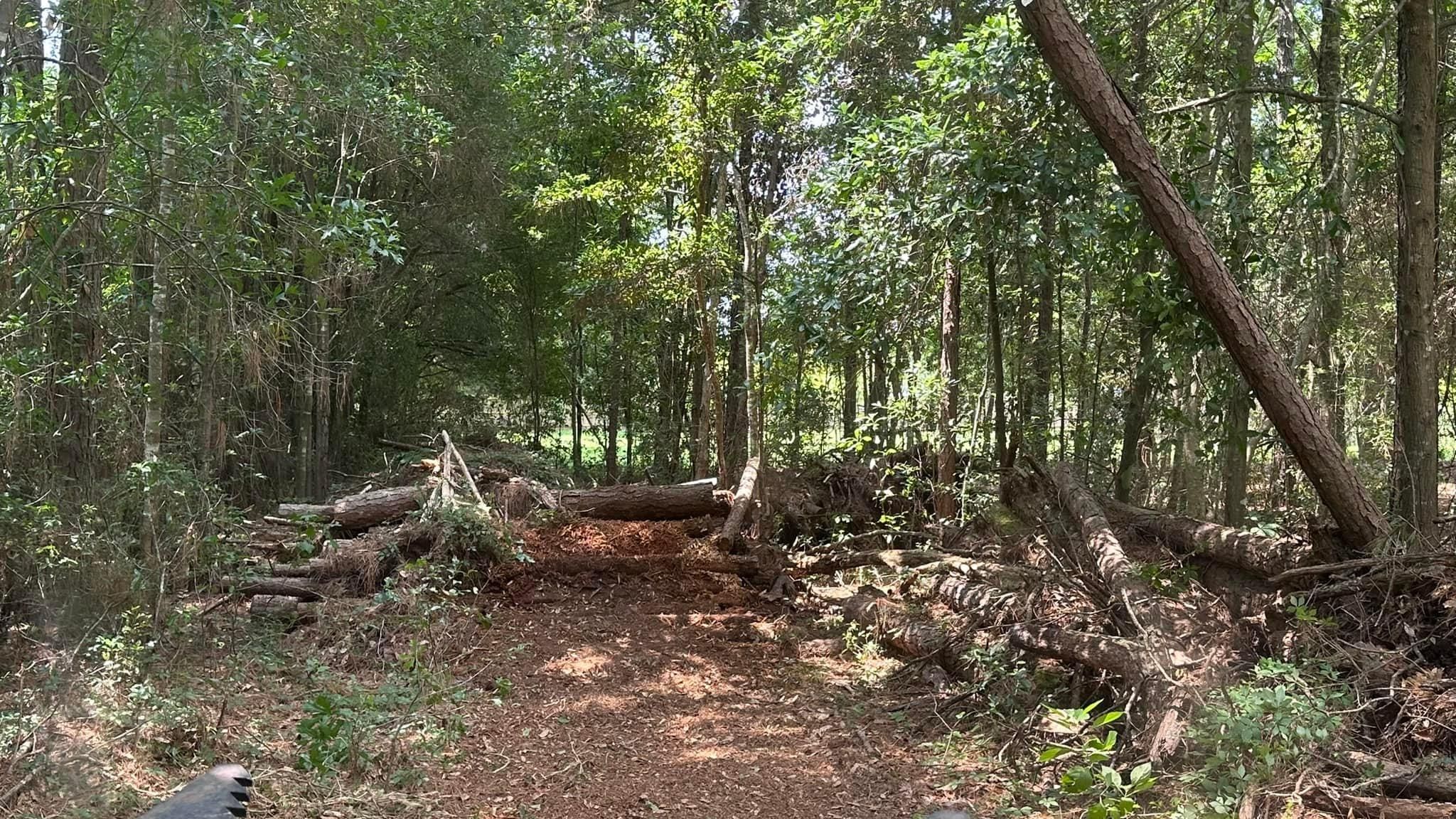  for White’s Land Maintenance in Milton,, FL