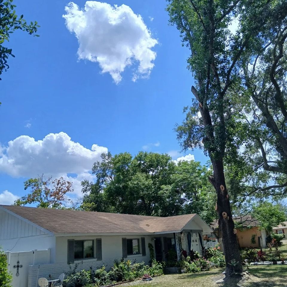  for A Southern Style Tree Service in Orlando, FL