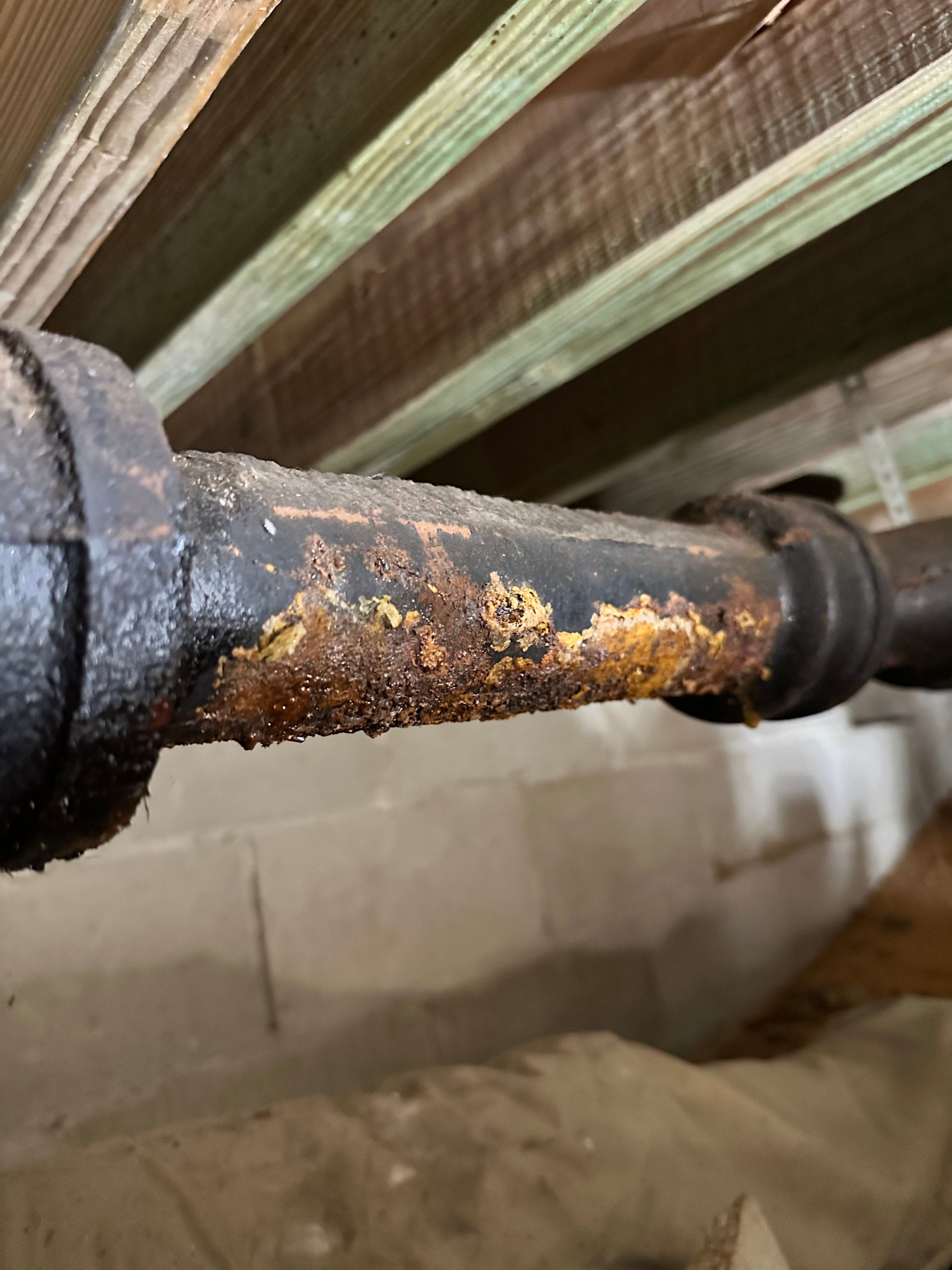 All Photos for The Golden Plumber in Pensacola, FL