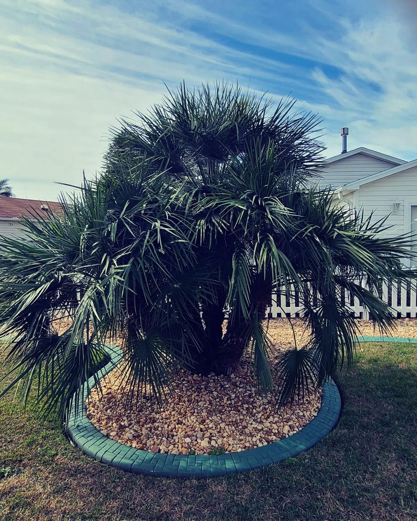  for TopNotch Landscaping Services  in The Villages, FL