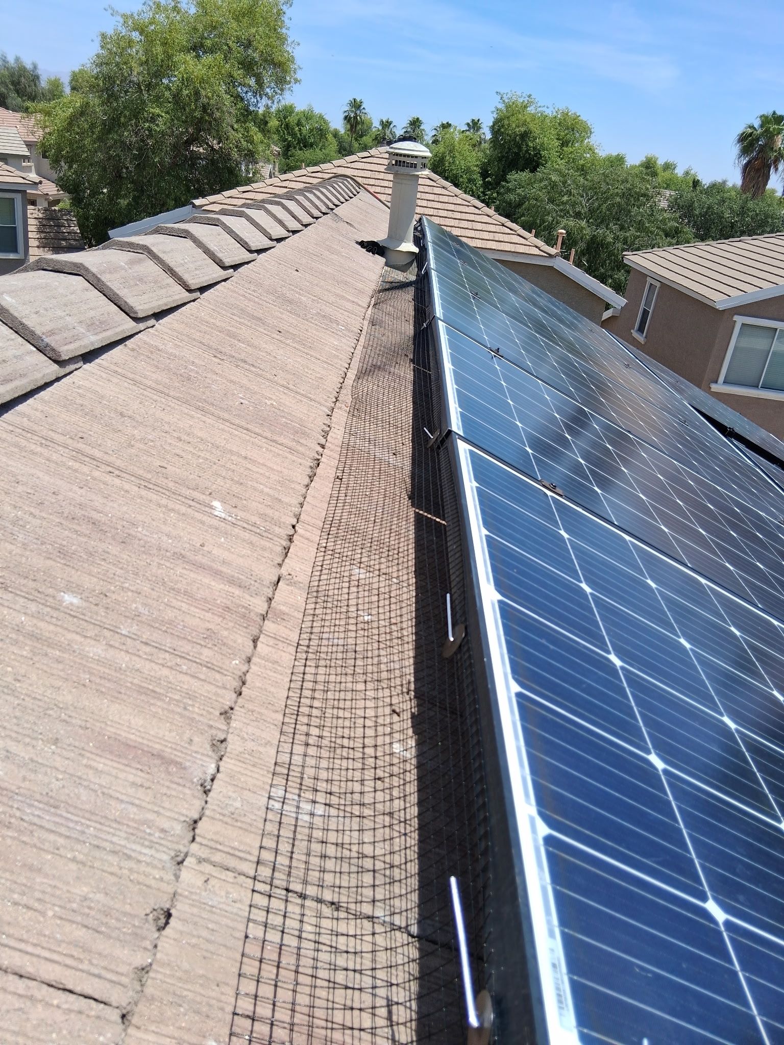  for Olson & Sons Contracting in Mesa, AZ