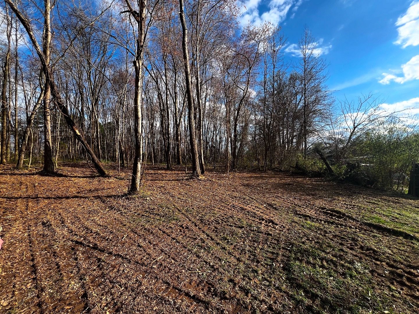 All Photos for Michael Way Acres in Woodlawn, TN