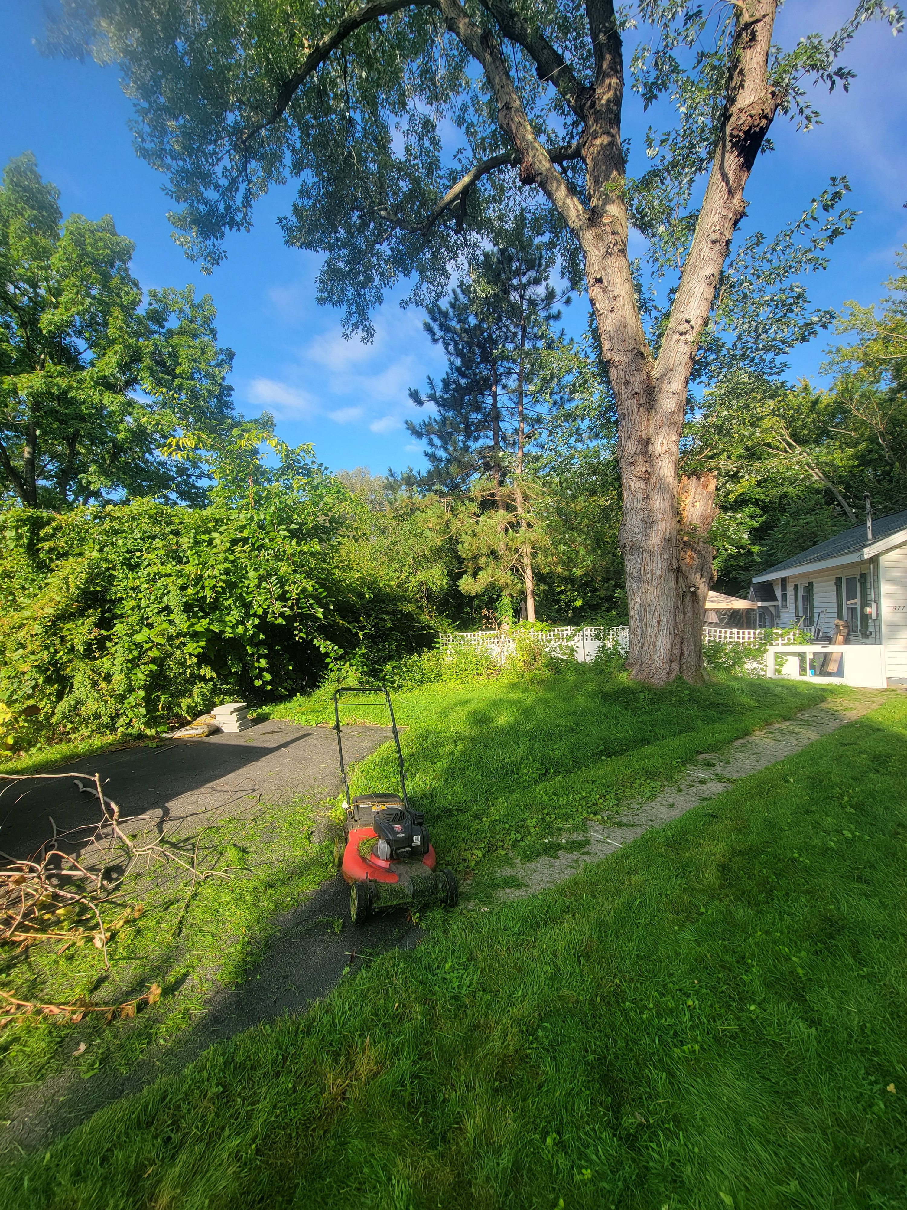  for Sweet Scapes in Ballston Spa, NY