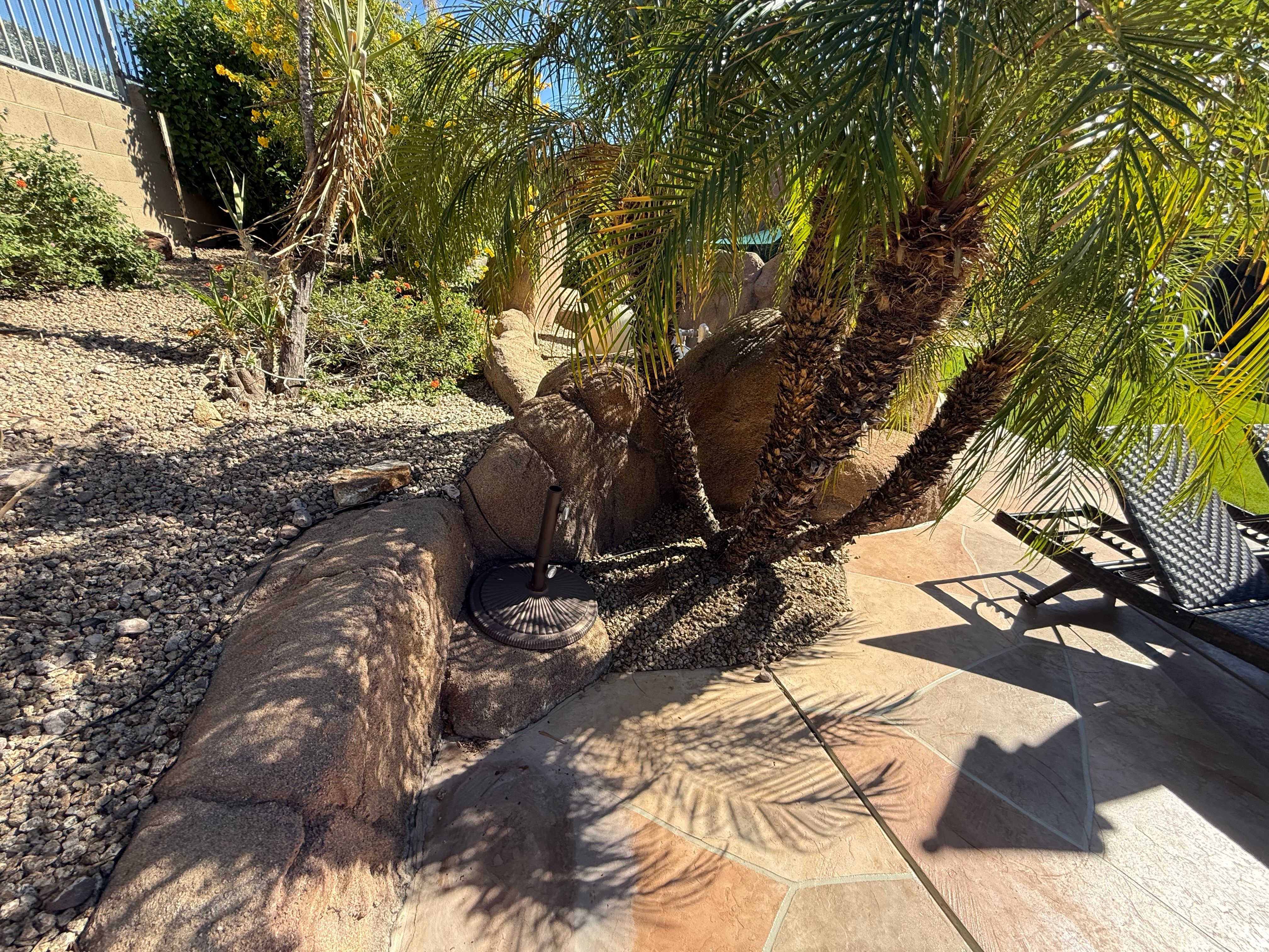 for Arizona Backyard Synergy in Phoenix, AZ