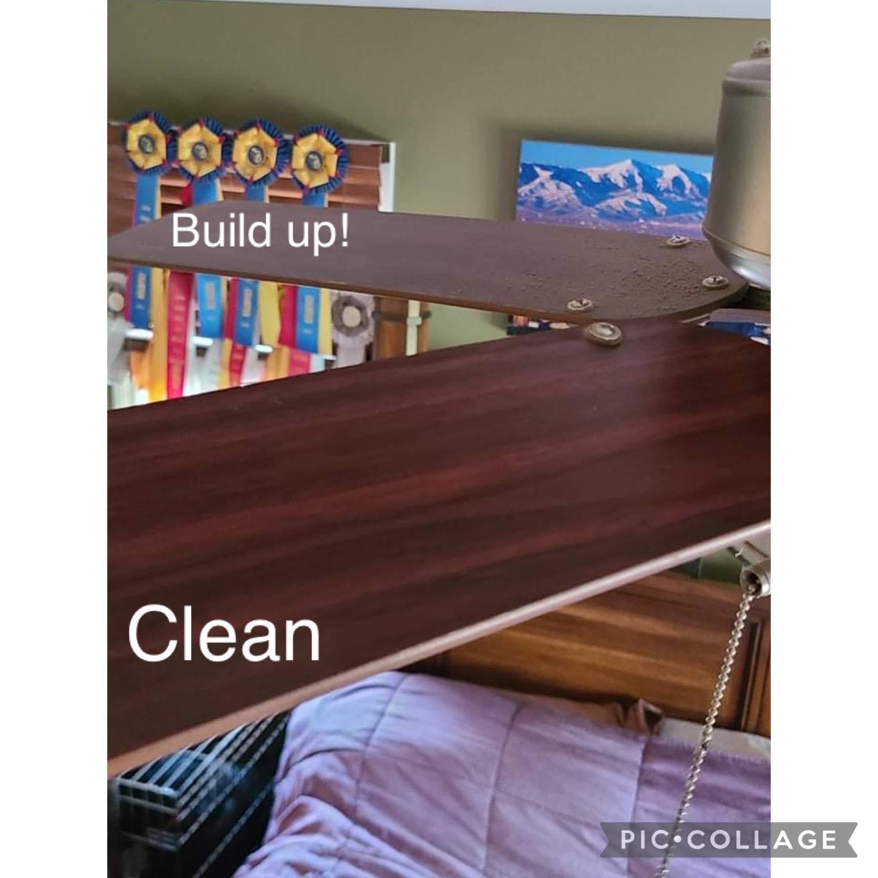 Residential Cleaning for Busy B's Professional Cleaning in Birch Run, MI