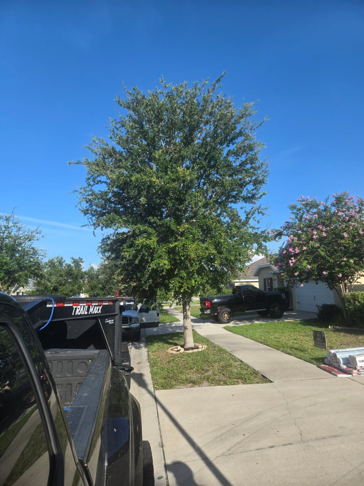 All Photos for TREE BOYS in Ruskin, FL