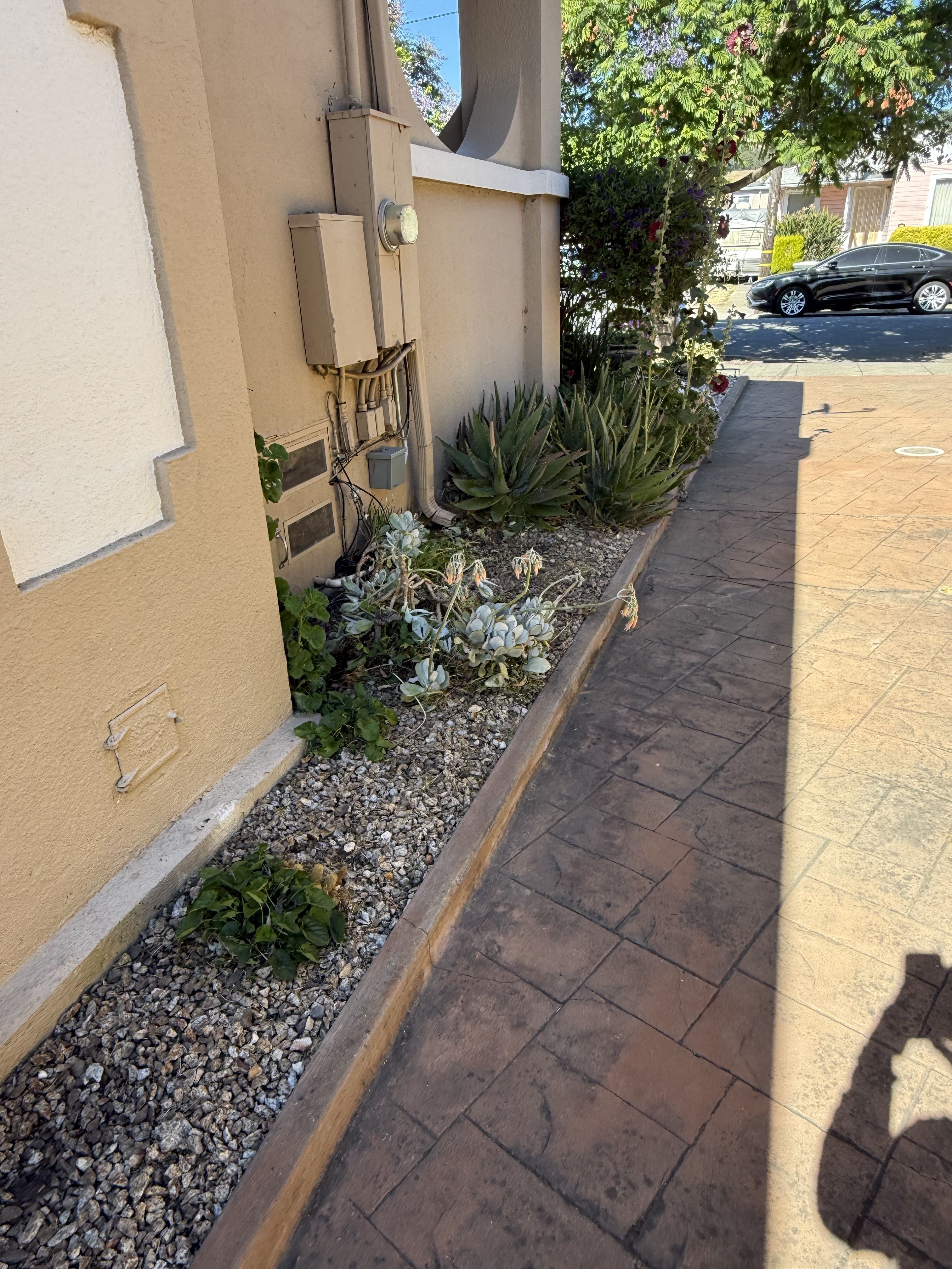  for CBA Landscaping in Hayward, CA
