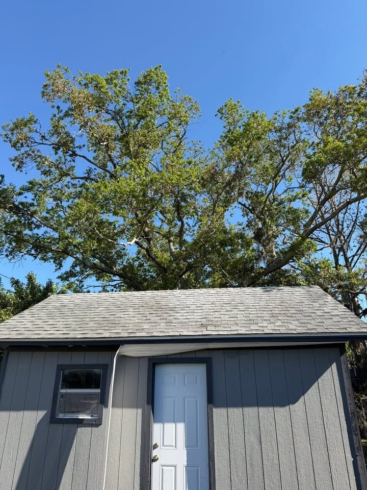  for Damian’s Tree Care in Sarasota, FL