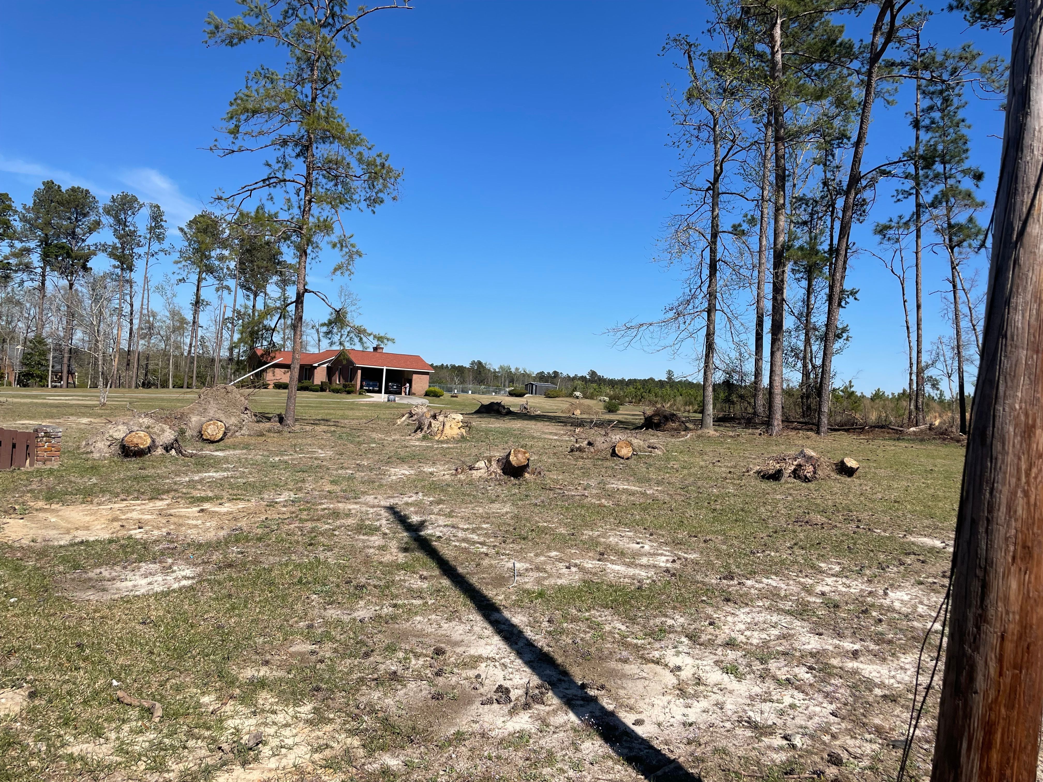 All Photos for MJB’s Stump Grinding LLC in Tennille, GA