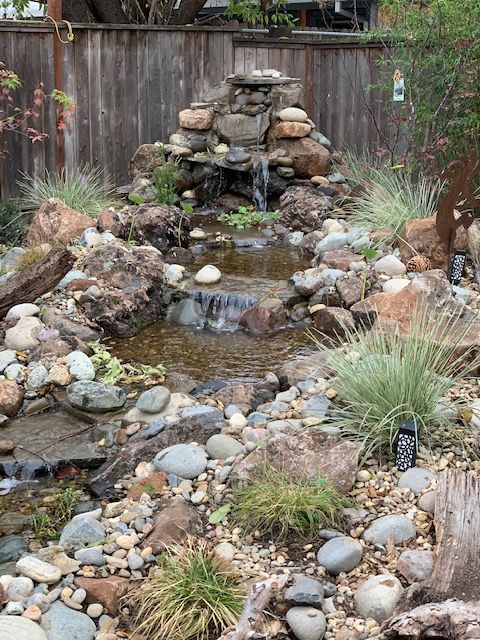  for Blue Water Landscape Services in El Dorado Hills, CA