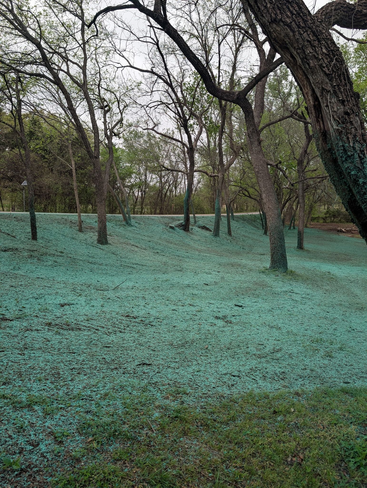  for Foyil Bobcat and Hydroseeding in Edmond, OK