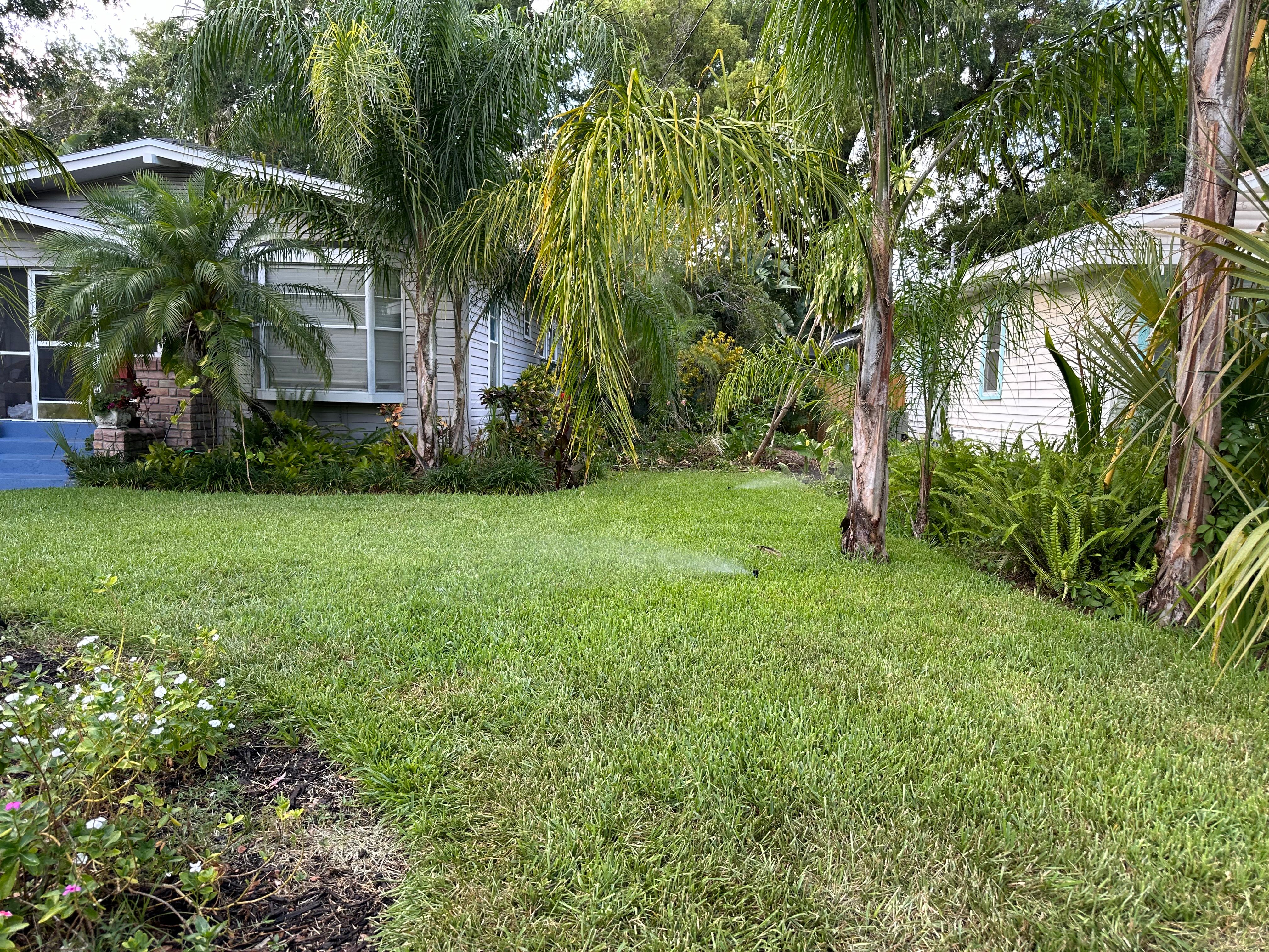 All Photos for Affordable Property Preservation Services in Tampa, Florida