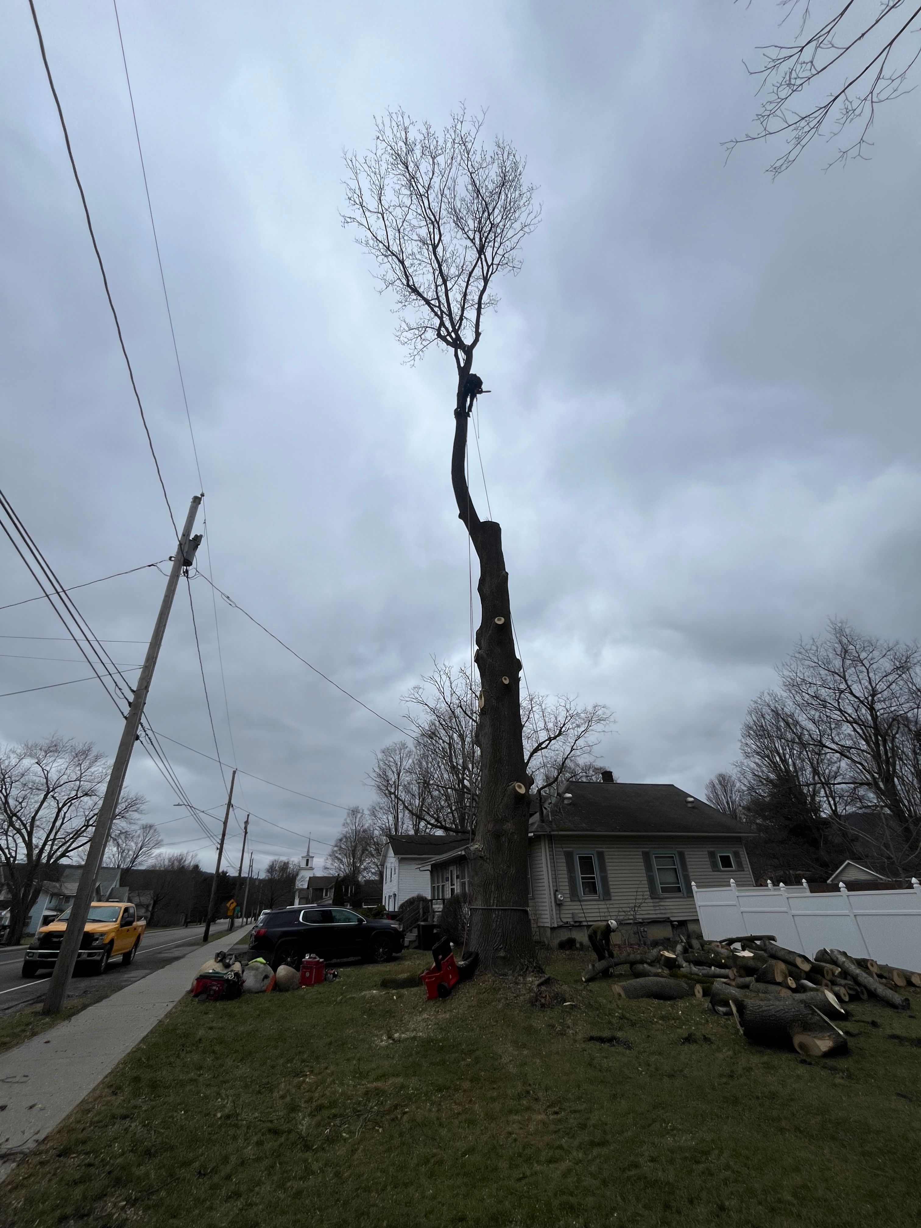 All Photos for Licensed to Cut Tree Service in Athens, PA