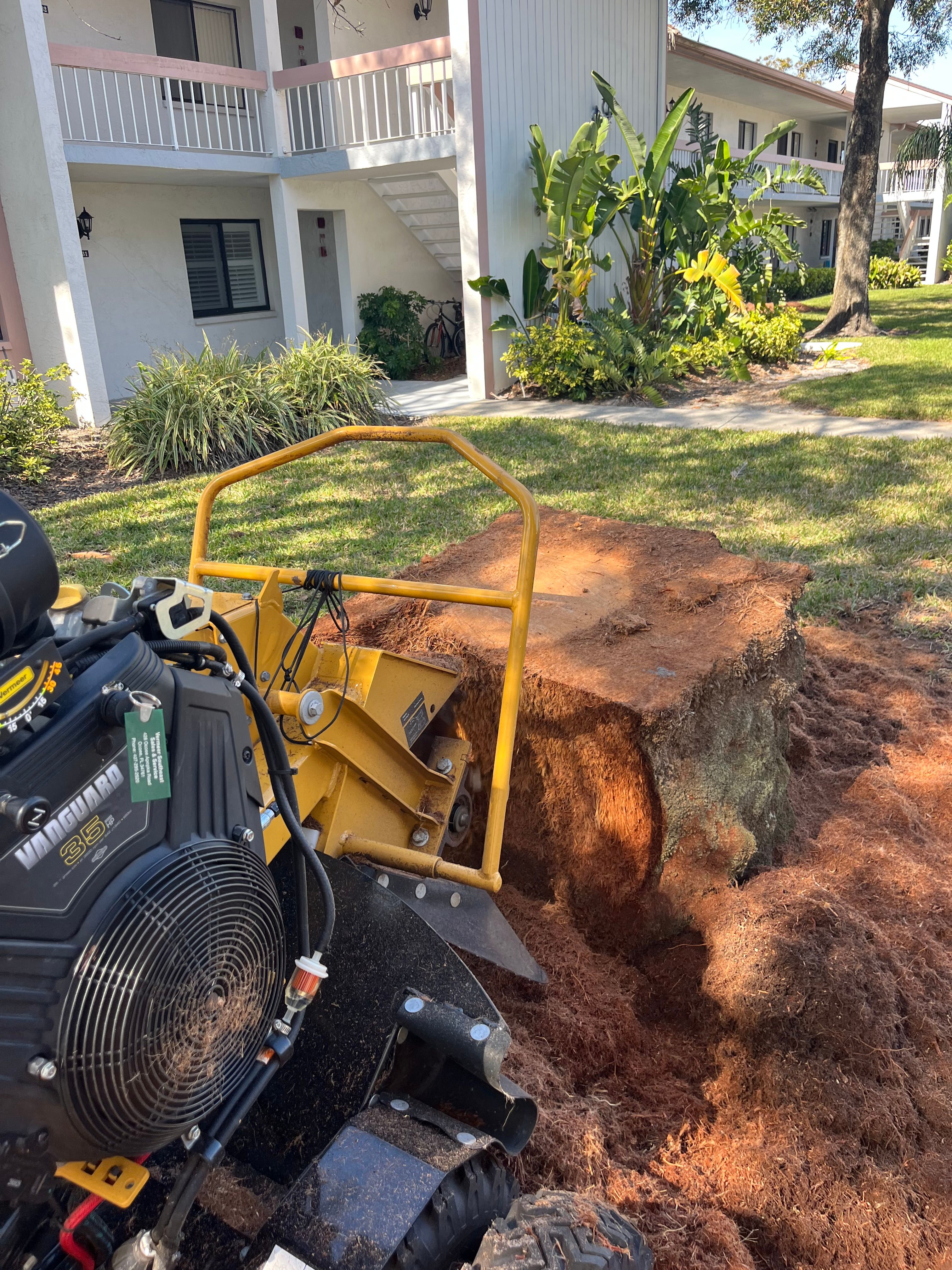  for KB’s Stump Removal in Seminole, FL
