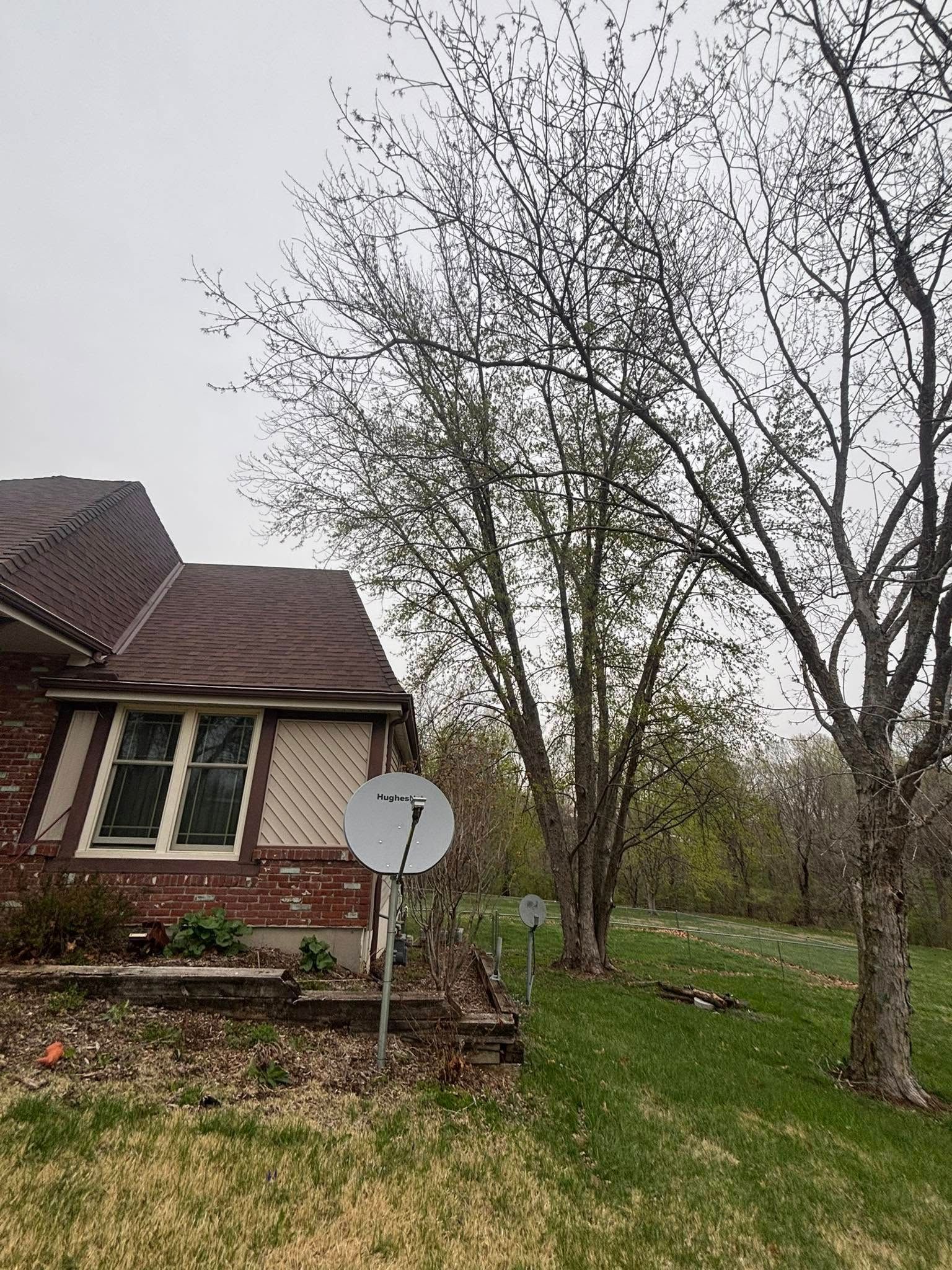 Tree Removal for Cross Family Tree Service in Kearney, MO
