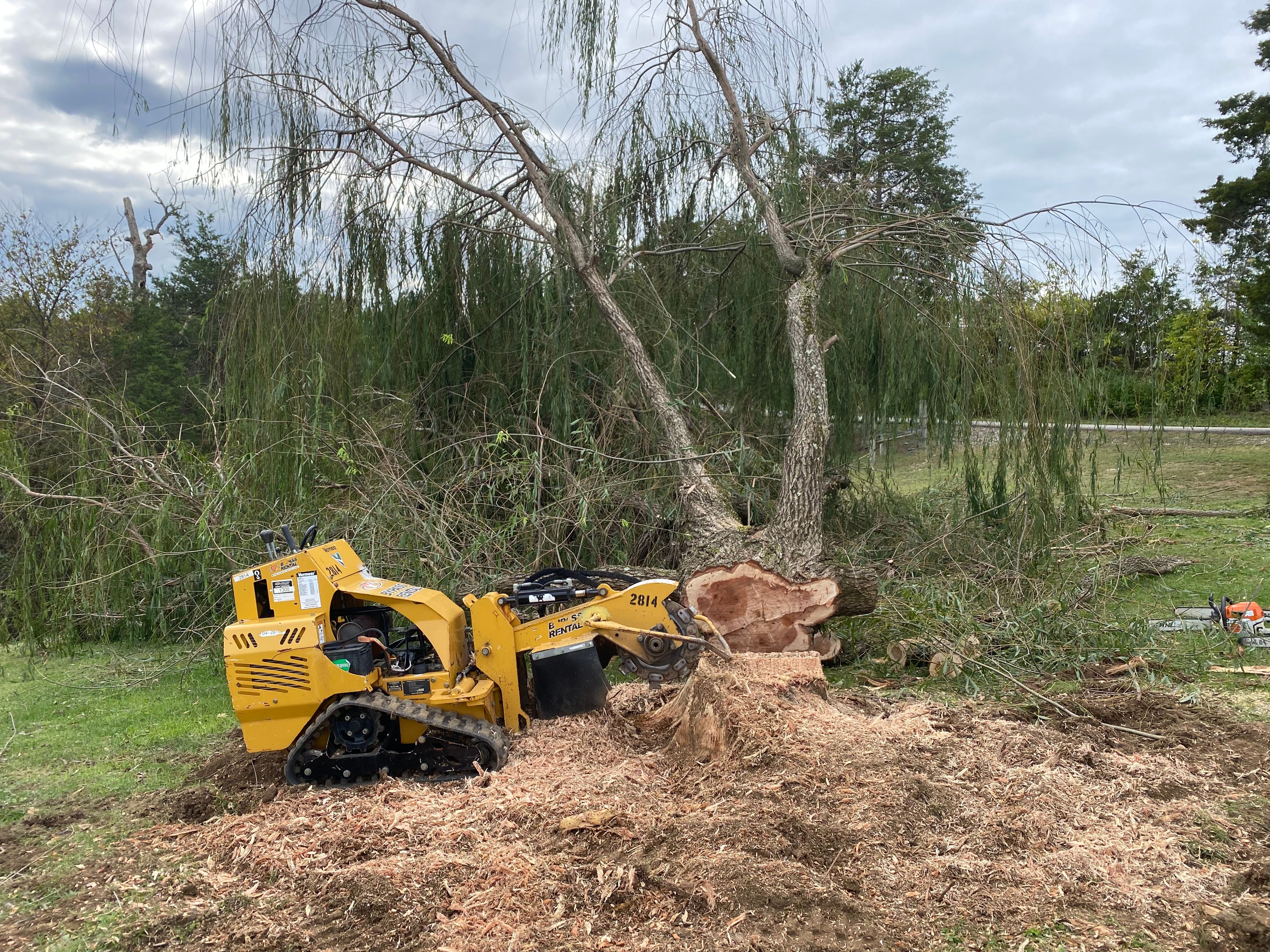 All Photos for Houtz Tree Service in Lexington, KY