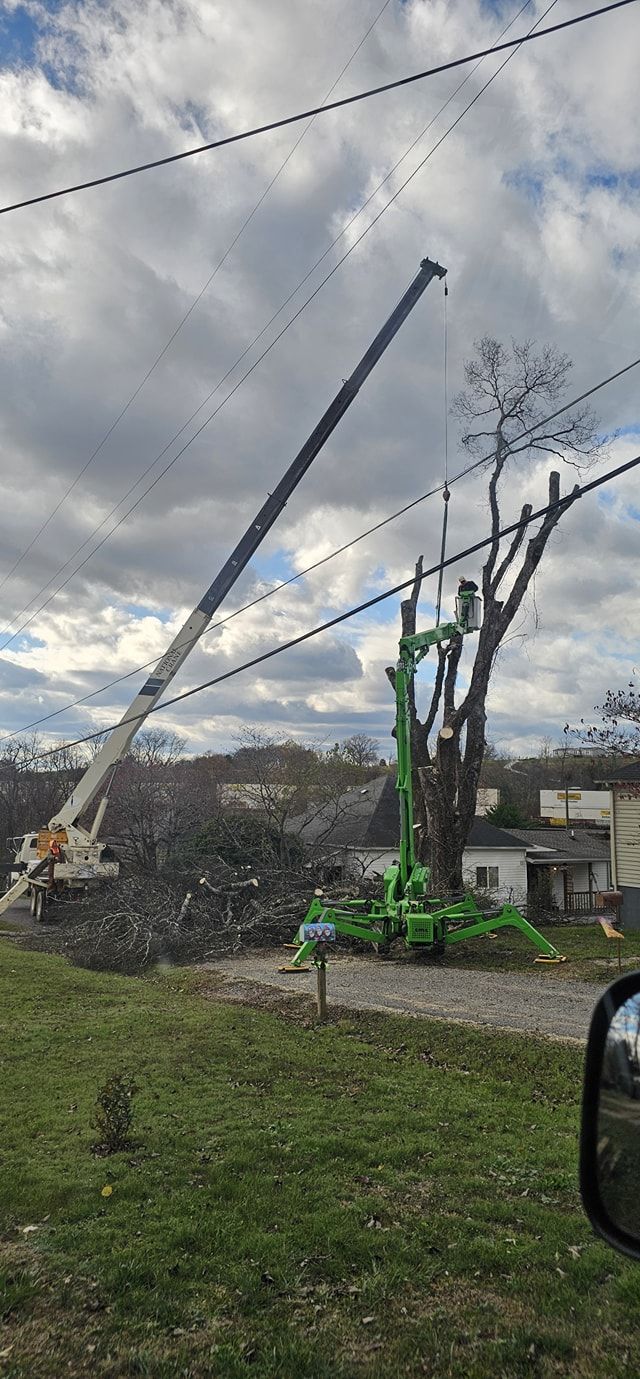  for Reagan & Sons Tree Service in Dandridge, TN