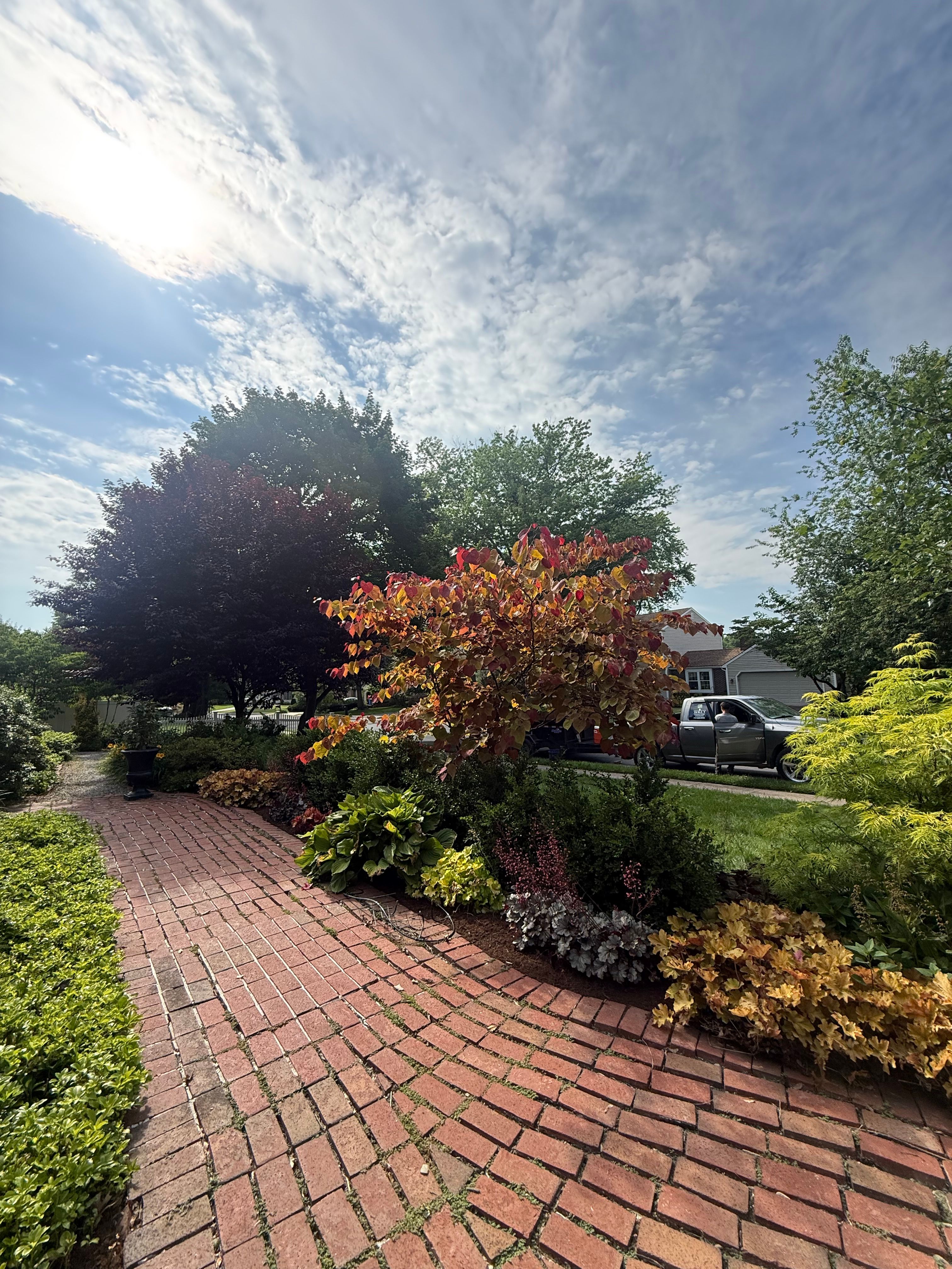  for Wiley Landscape Design in York, PA