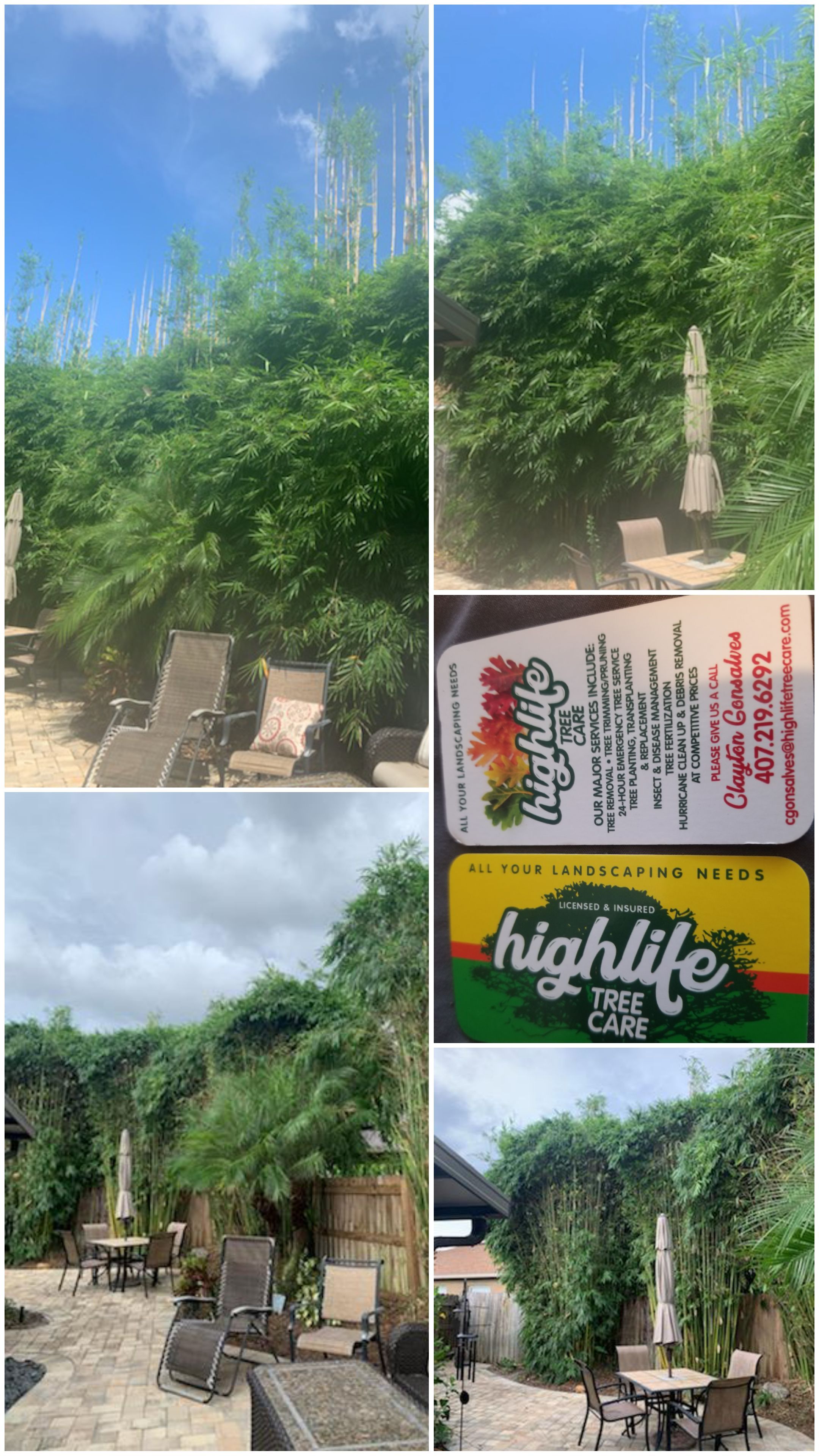 All Photos for Highlife Tree Care And Landscaping in Altamonte Springs, FL