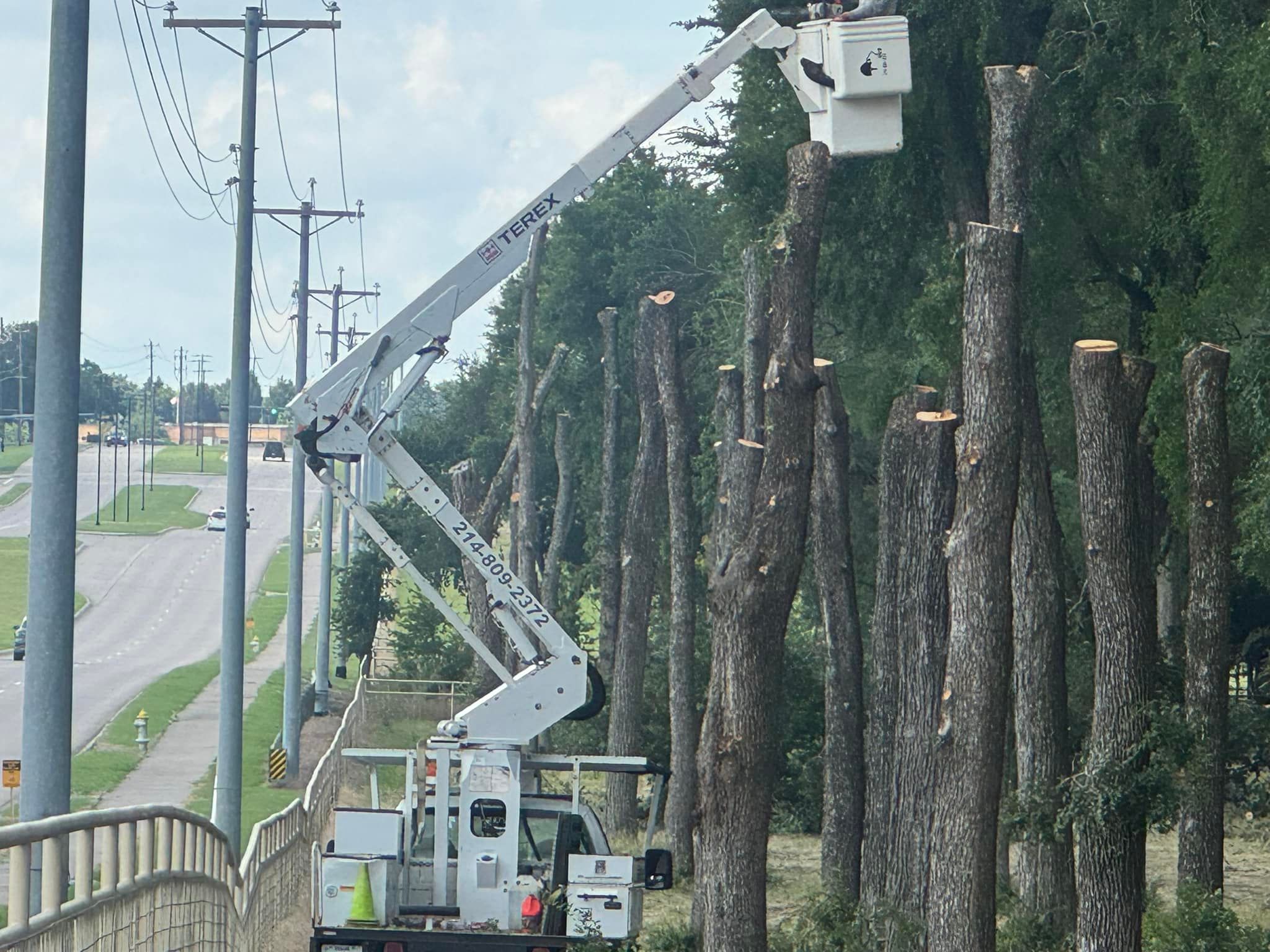  for A Realtree Service in Garland, TX