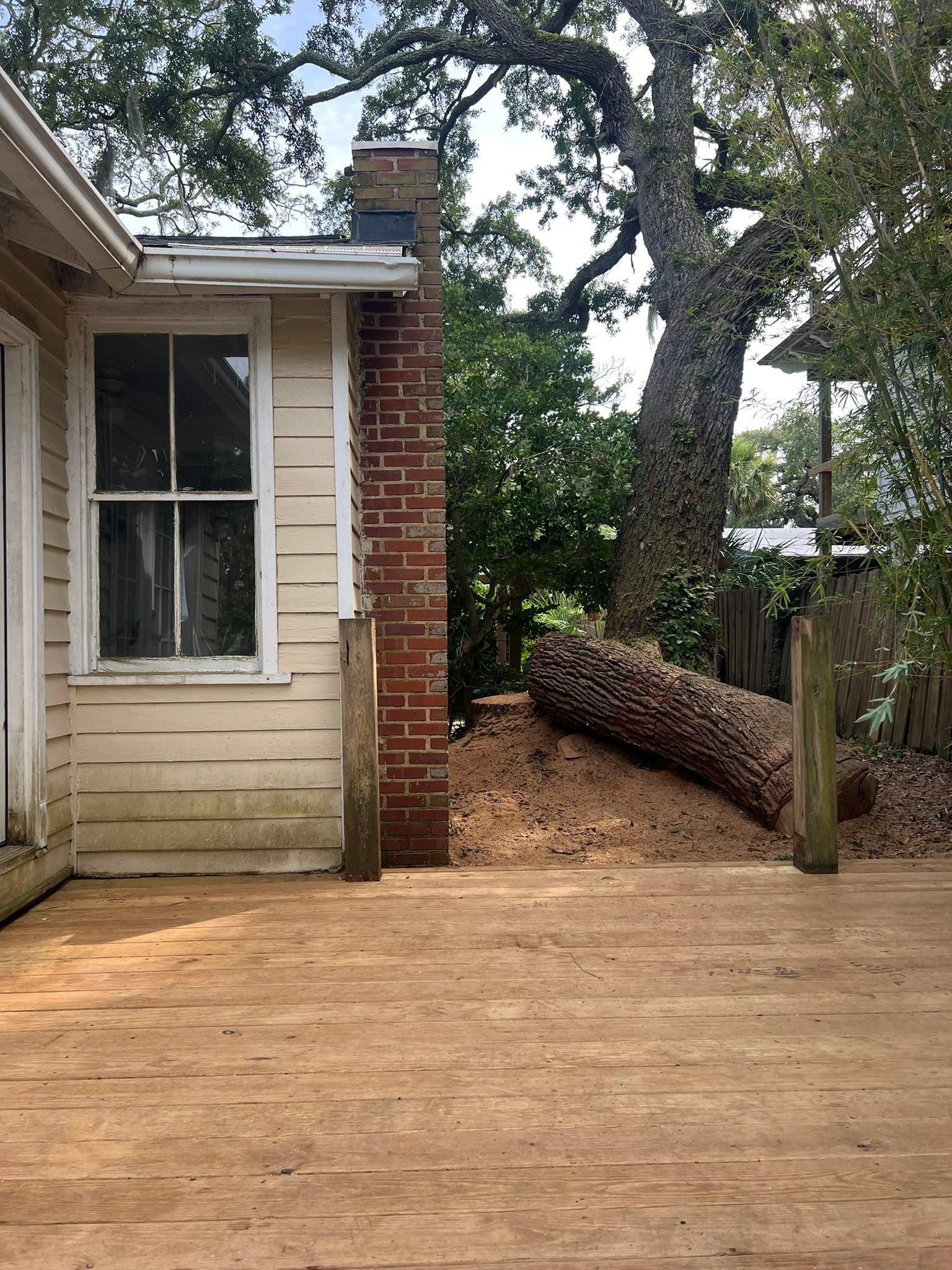 All Photos for Hawkins Tree Service & Land Management in Richmond Hill, GA