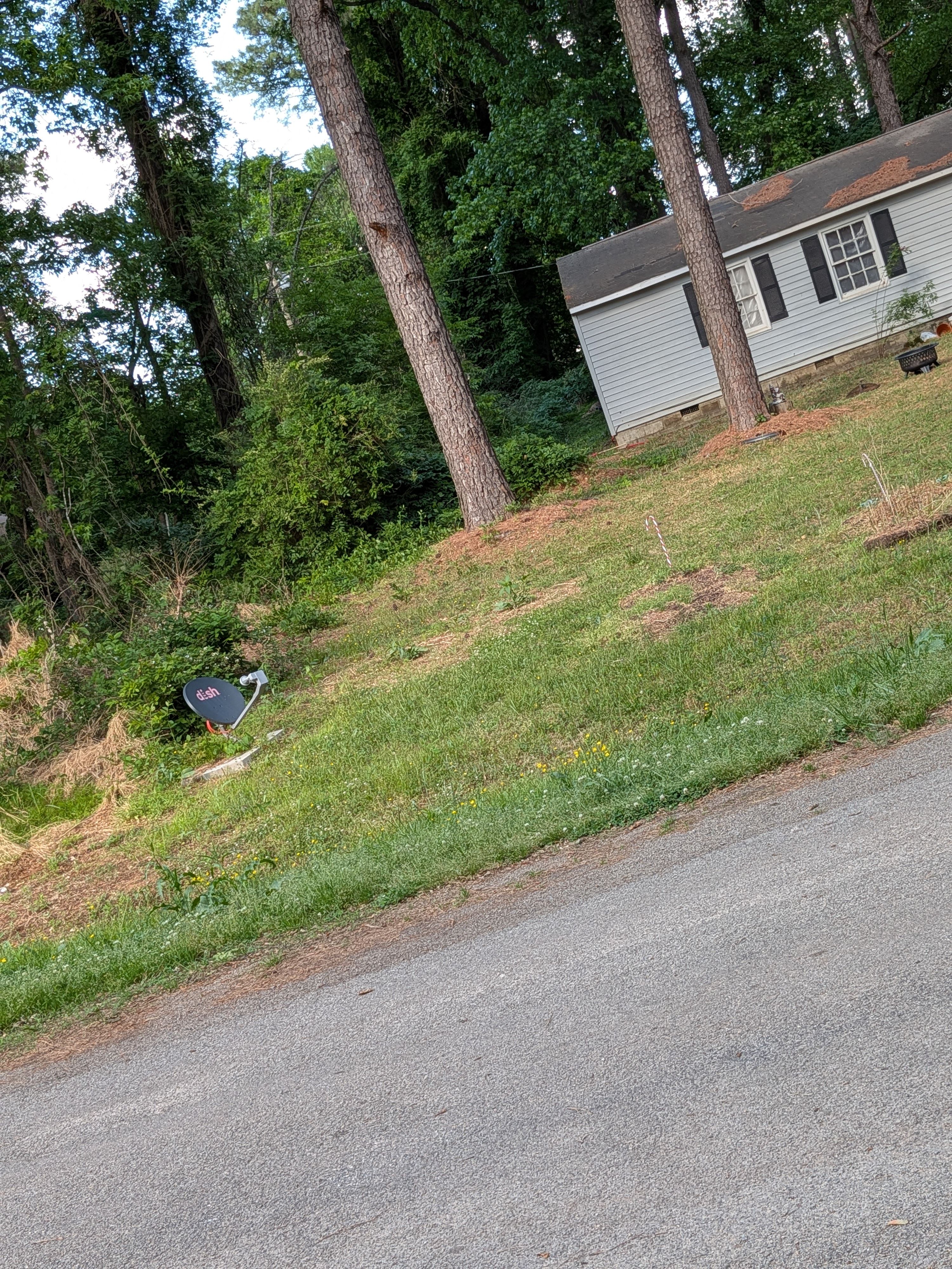 All Photos for LawnTherapy in Lawrenceville, VA