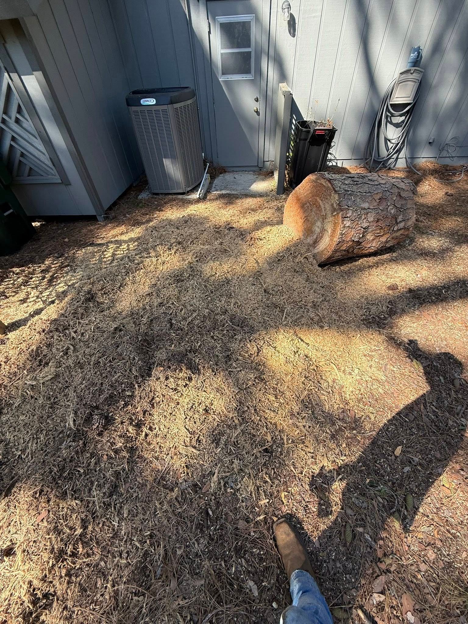  for Grizzly Stump Grinding in Sarasota, FL
