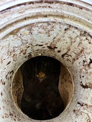  for Reliable Septic Tank Services in Marion County, FL in Reddick, FL