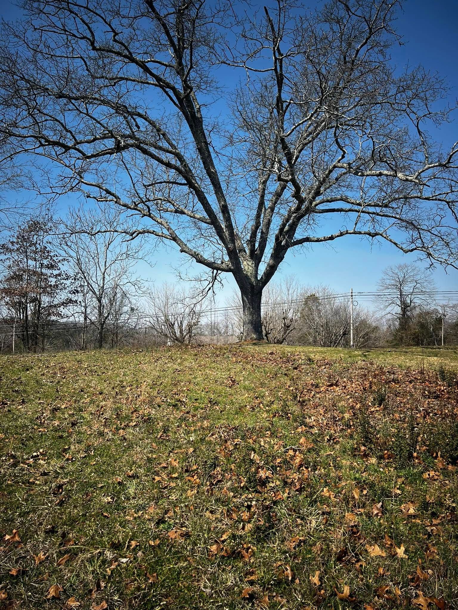  for Premier Outdoors and Land Management in Baxter, TN