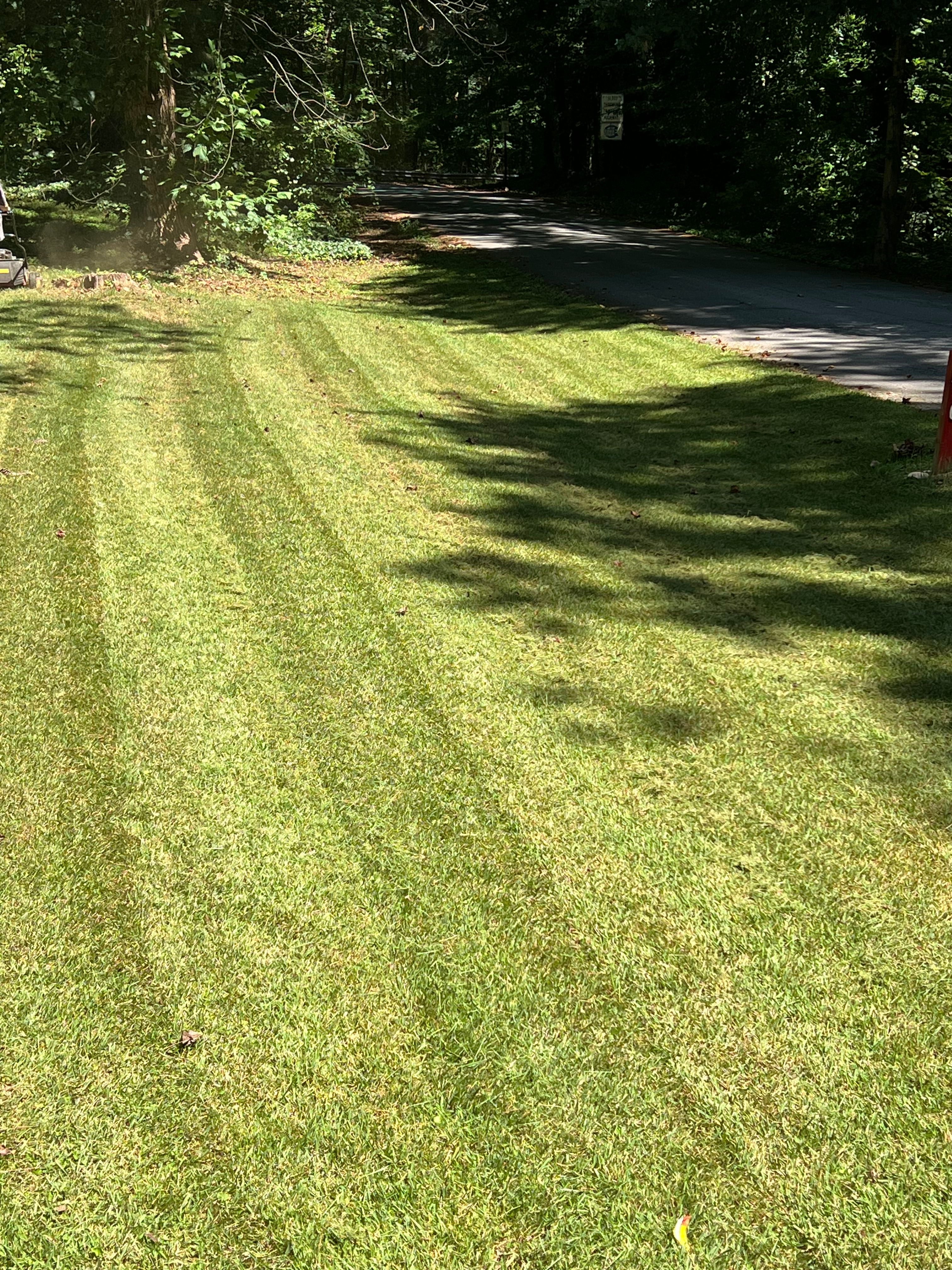  for Williams Brothers Landscaping & Construction in Atlanta, GA