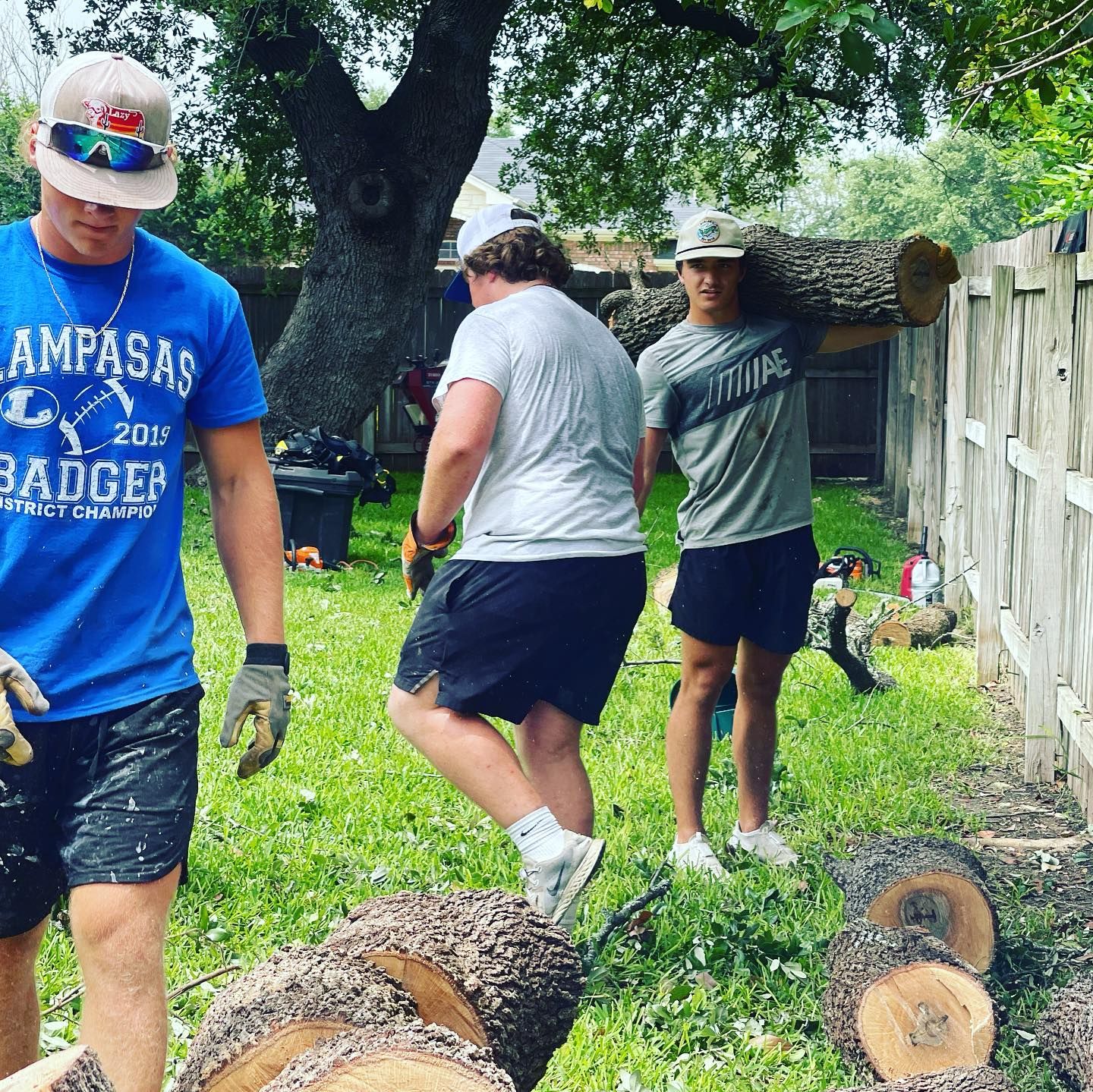  for Tesla Tree Trimming in Kempner, TX