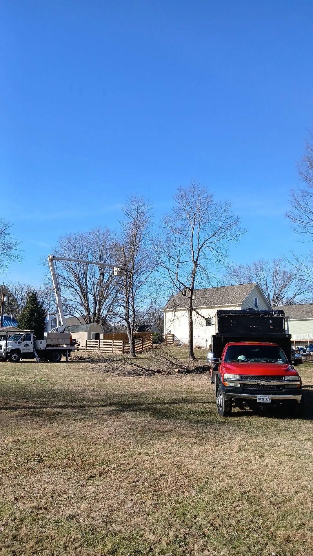 All Photos for Gray's Tree Service  in Shenandoah County, VA